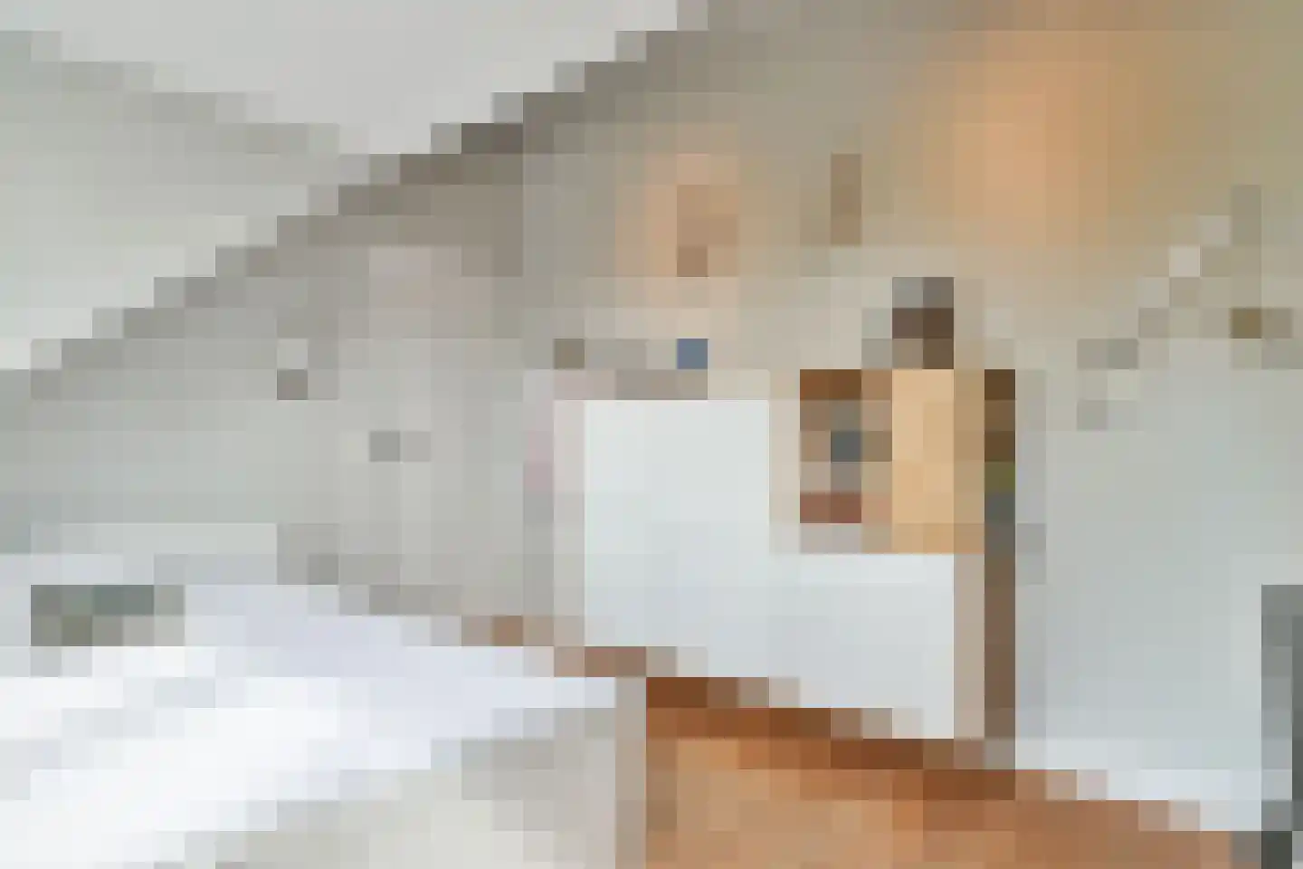Schapendrift 40 Laren thumbnail 38