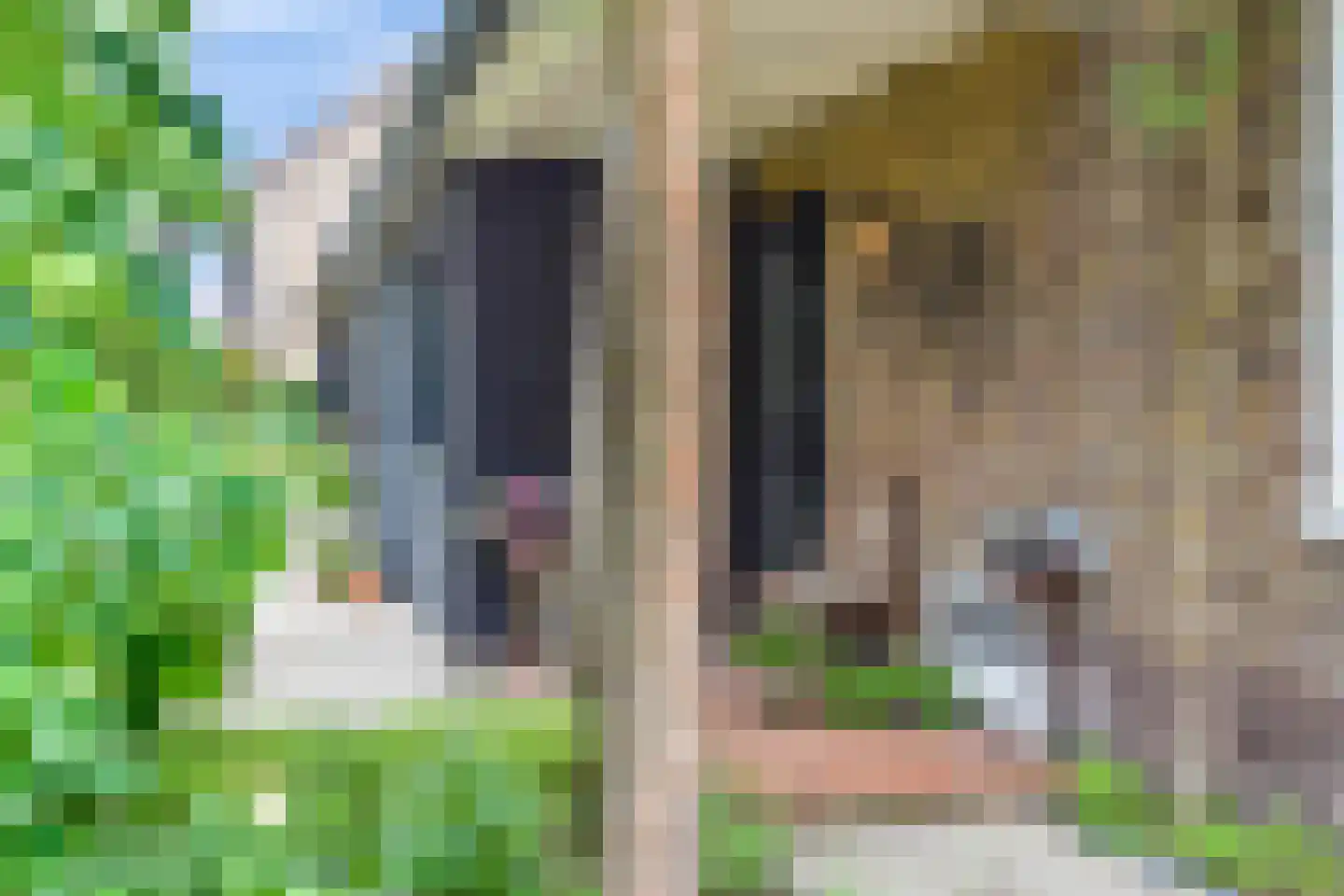 Schapendrift 40 Laren thumbnail 4
