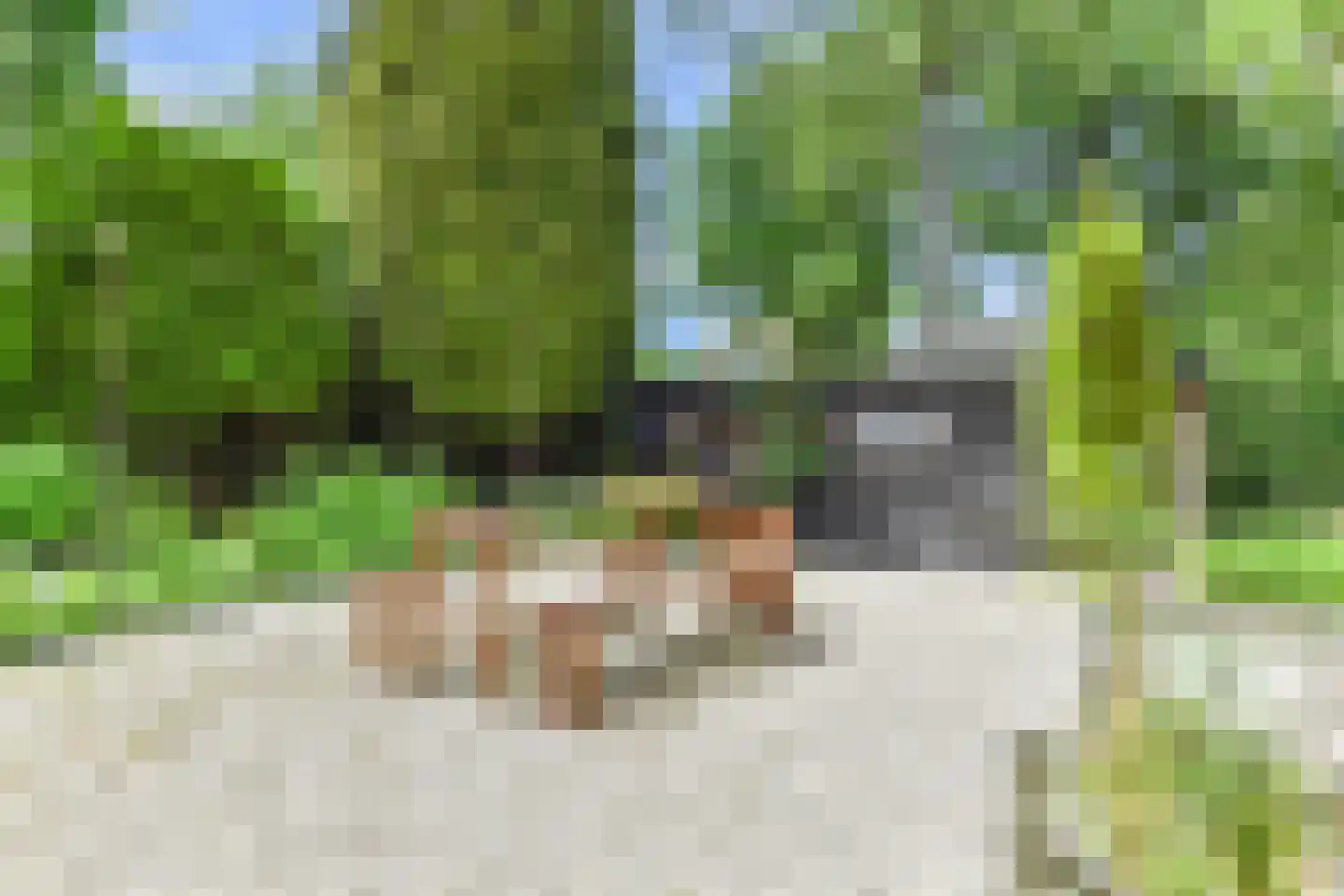 Schapendrift 40 Laren thumbnail 41