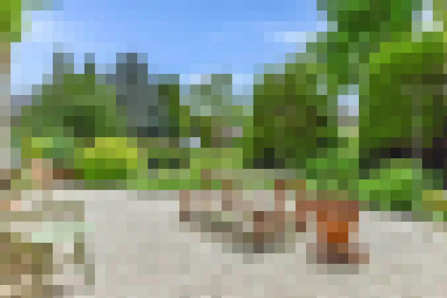 Schapendrift 40 Laren thumbnail 42
