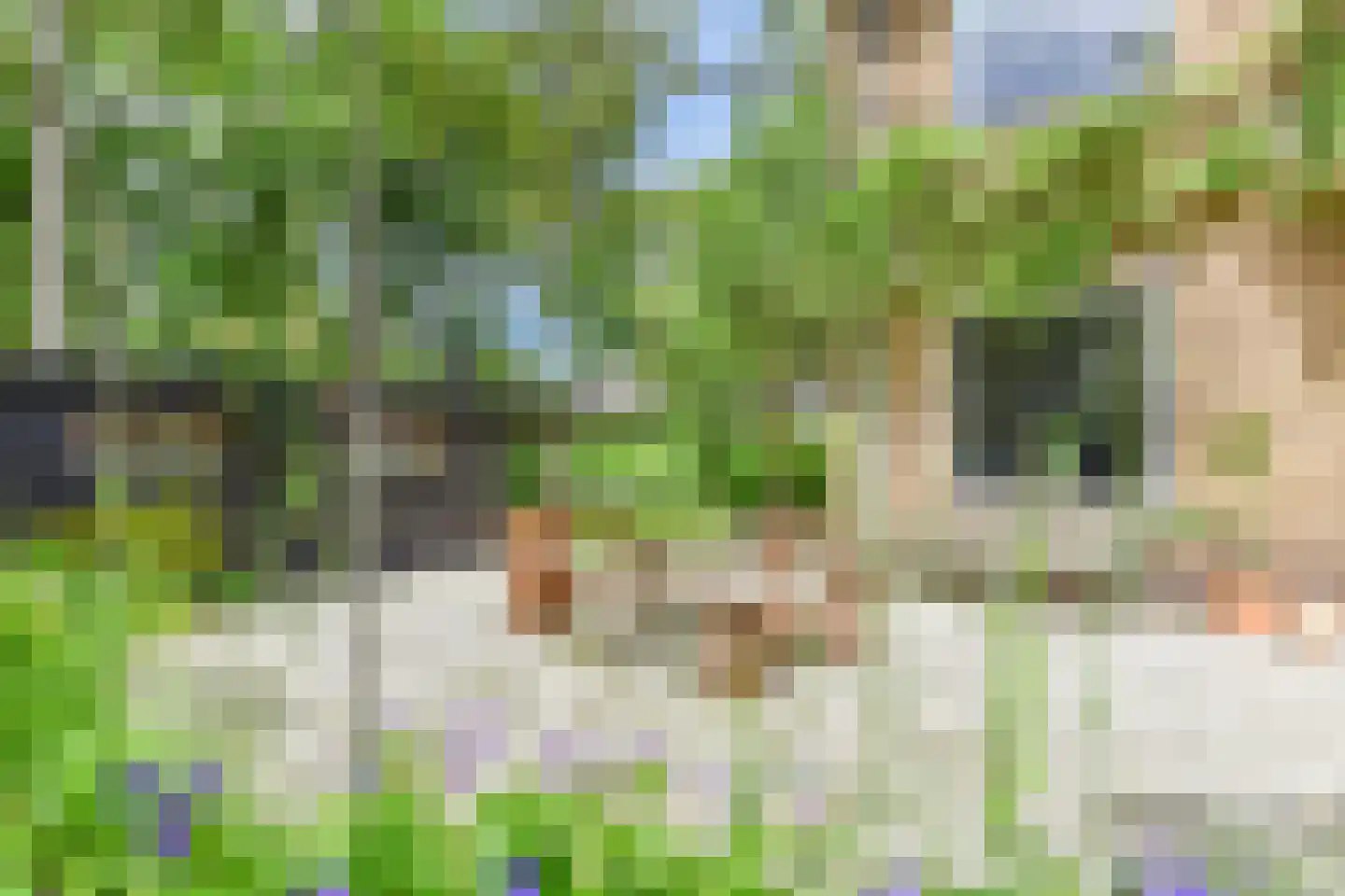 Schapendrift 40 Laren thumbnail 43