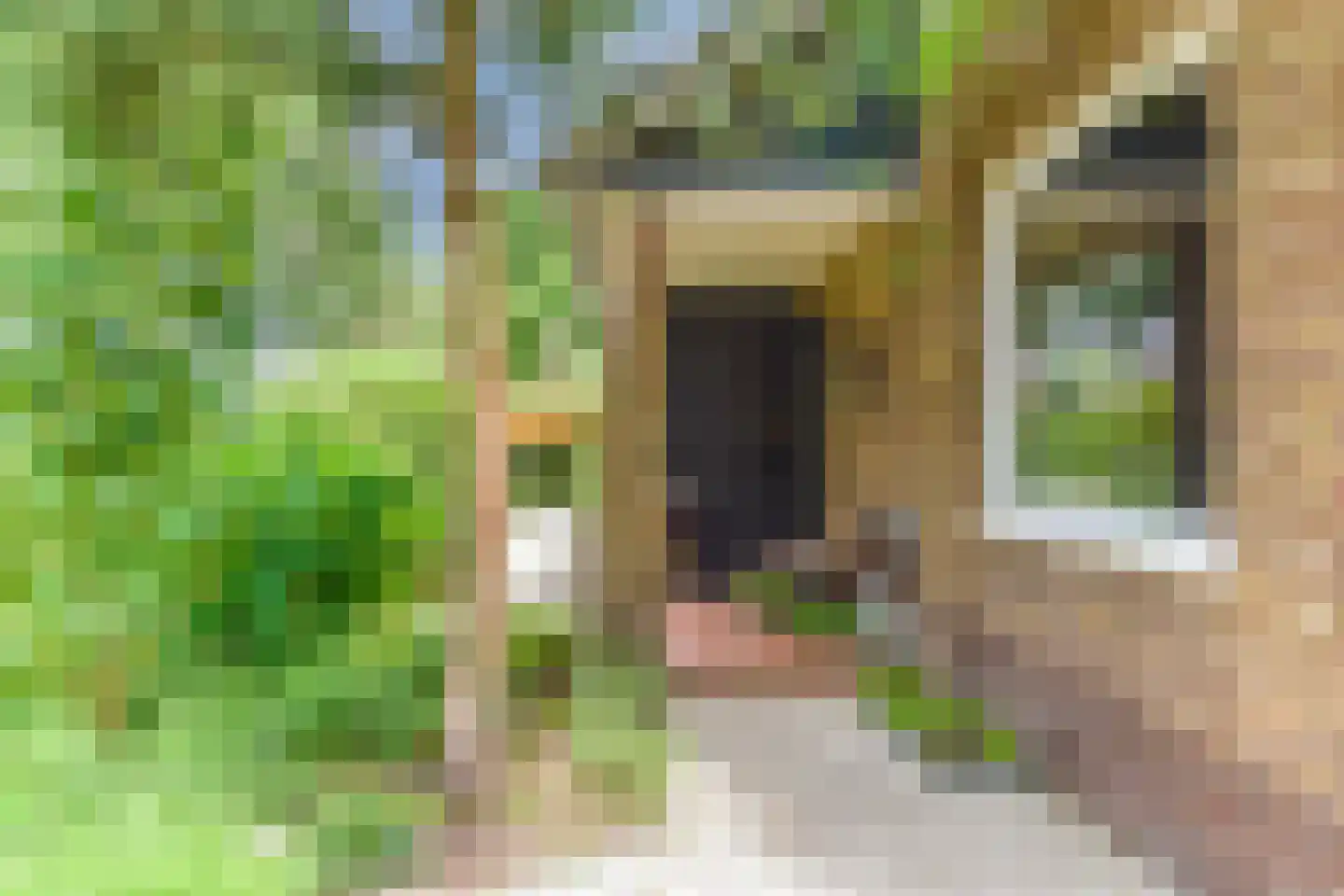Schapendrift 40 Laren thumbnail 44