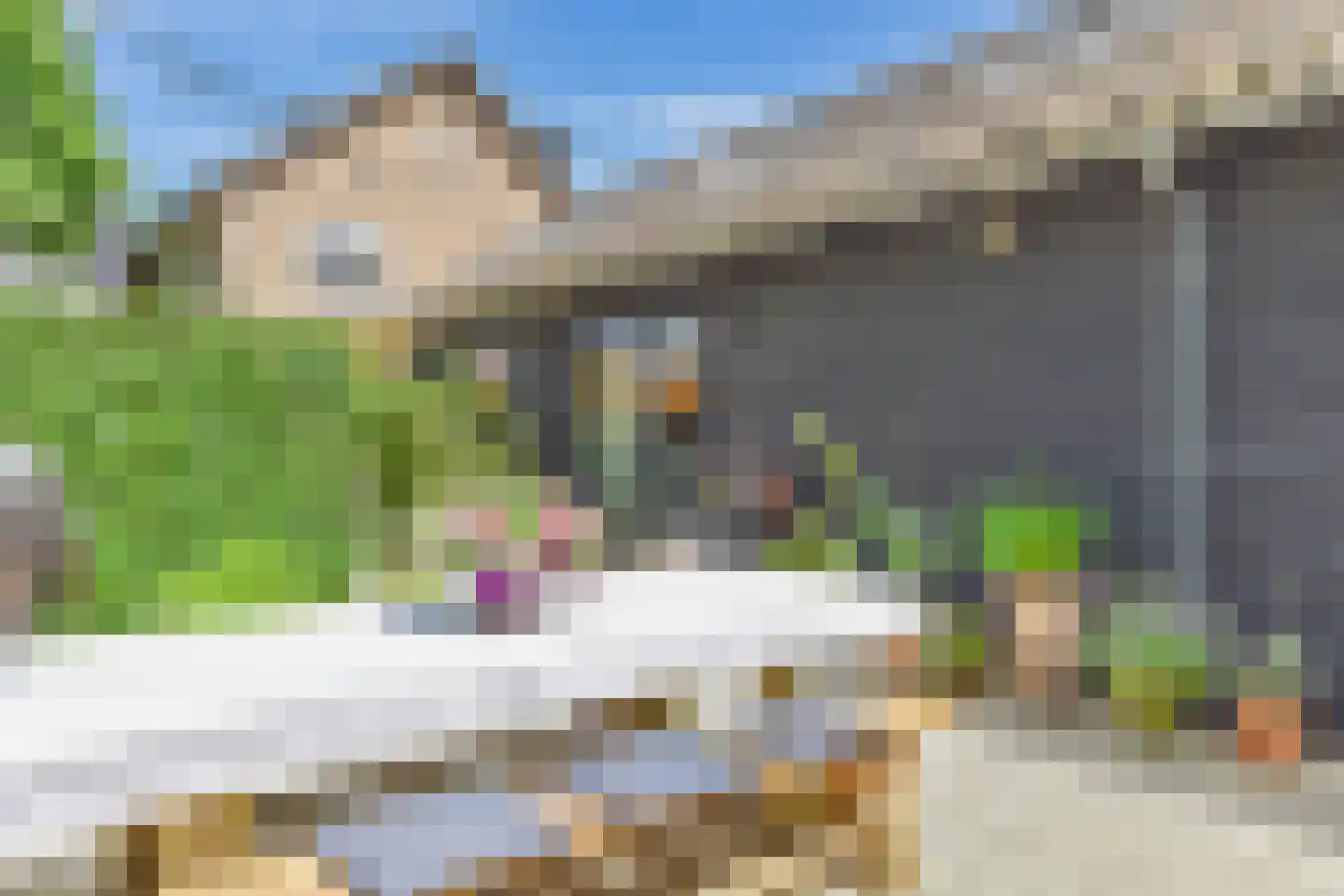 Schapendrift 40 Laren thumbnail 48