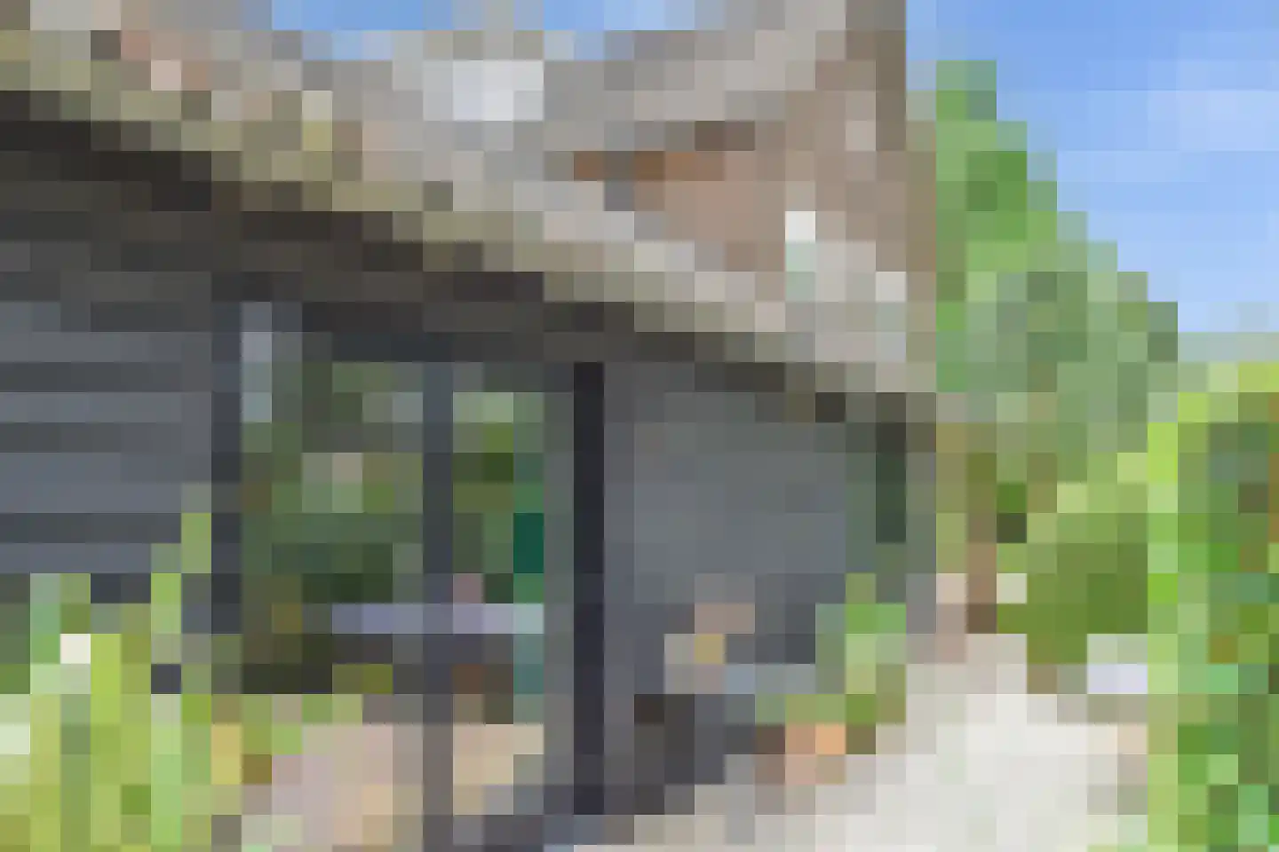 Schapendrift 40 Laren thumbnail 5
