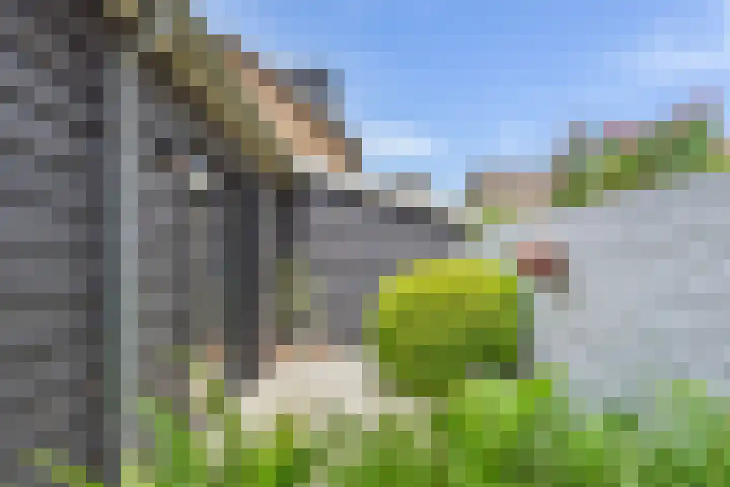 Schapendrift 40 Laren thumbnail 50