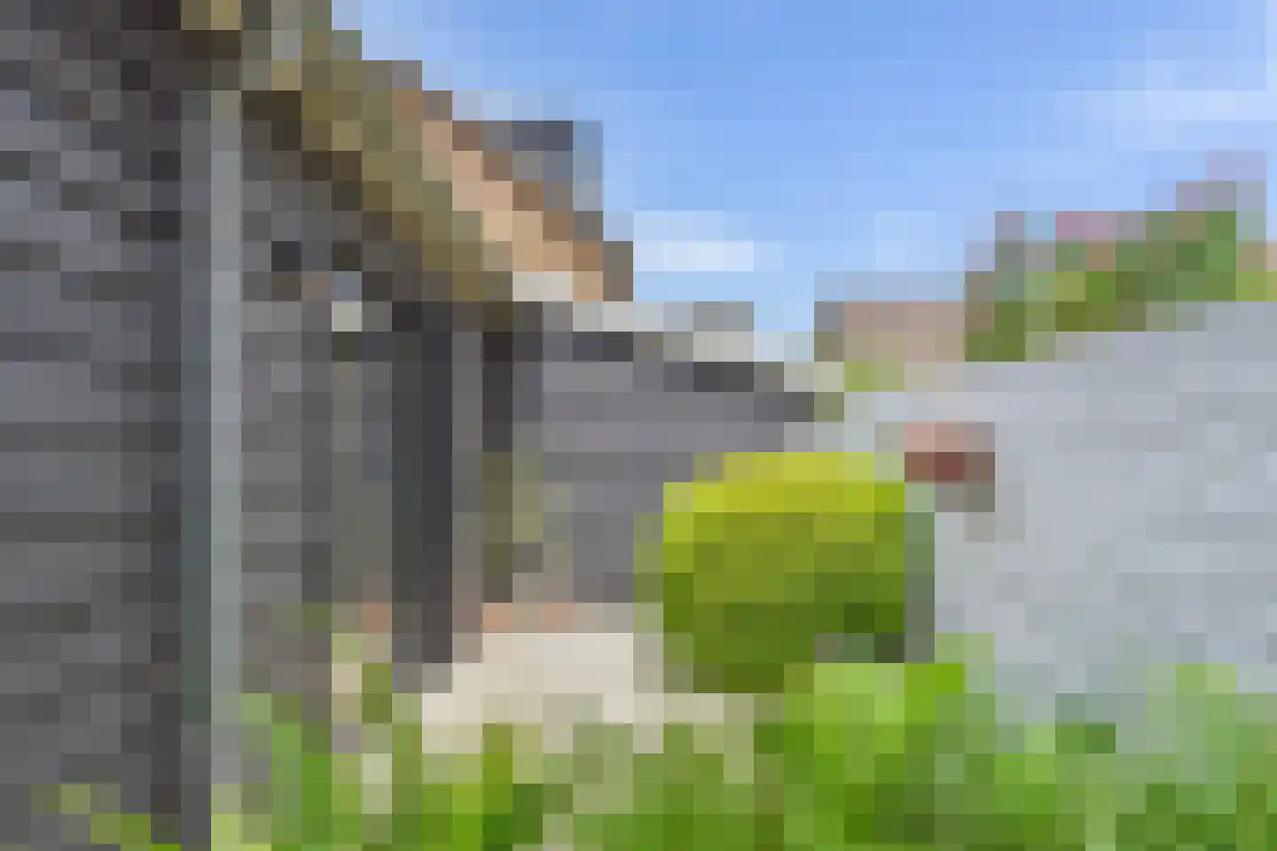 Schapendrift 40 Laren thumbnail 51