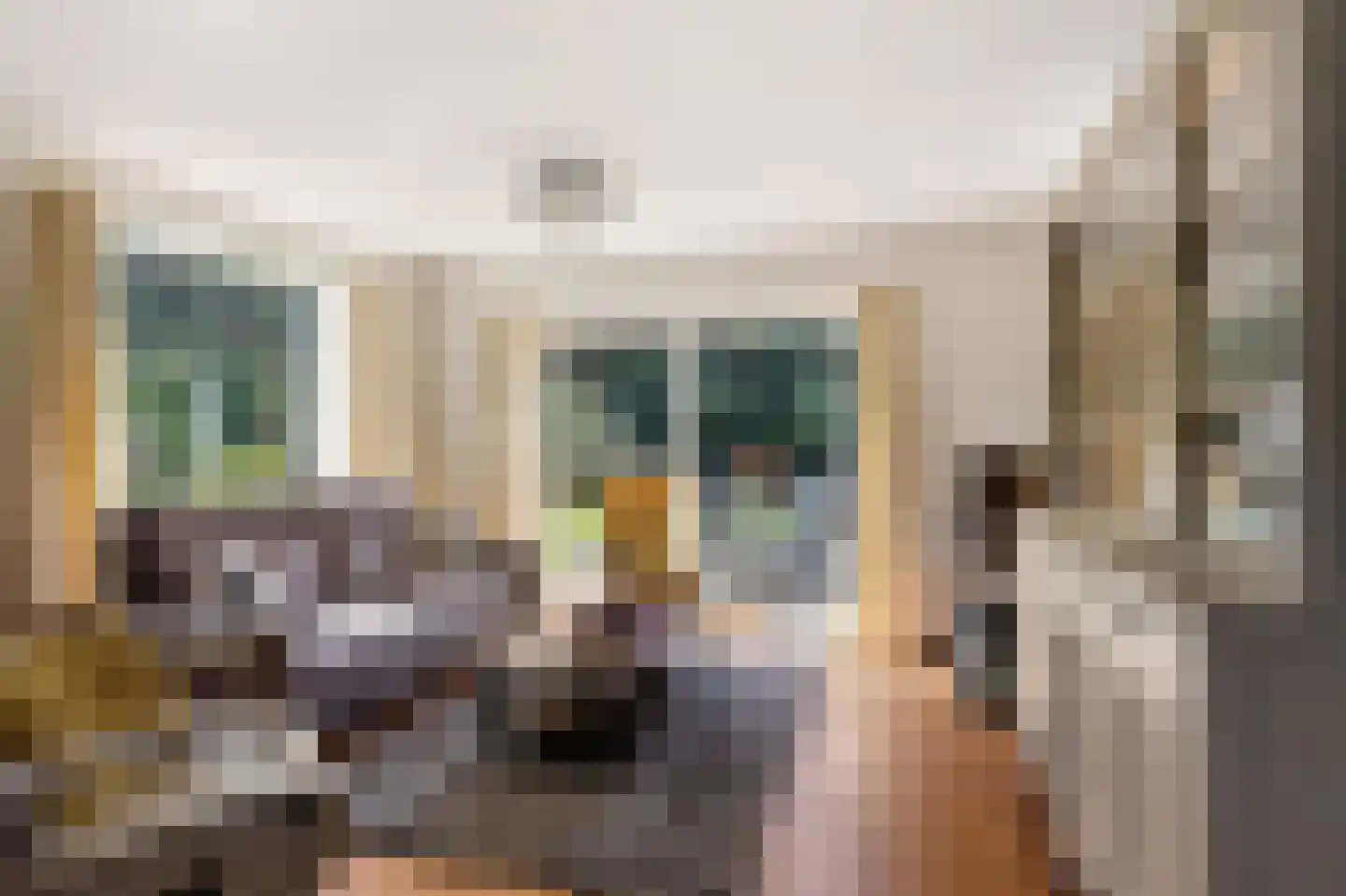 Schapendrift 5 Zuidlaren thumbnail 16