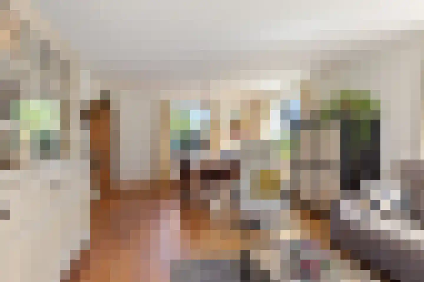 Schapendrift 5 Zuidlaren thumbnail 18