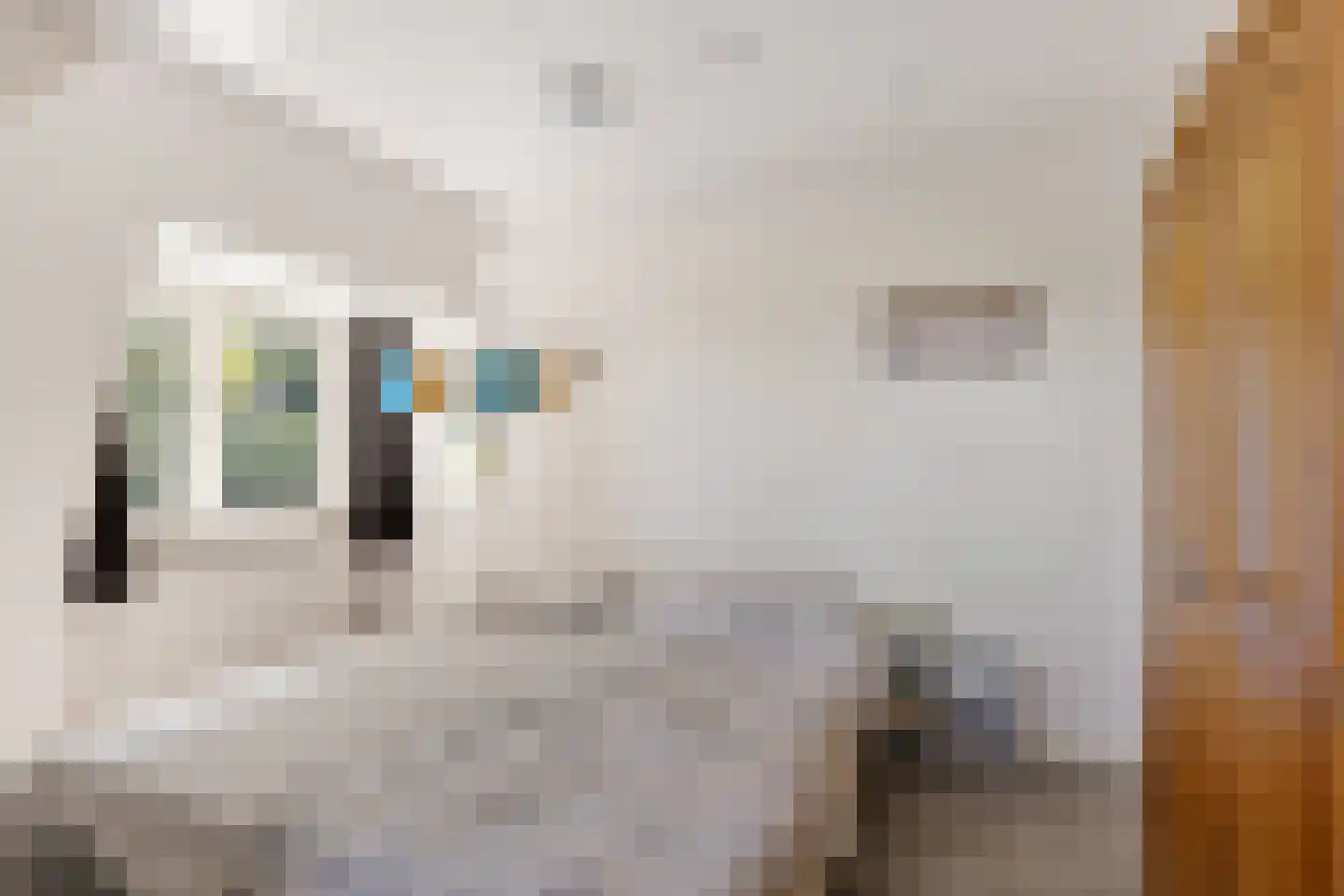 Schapendrift 5 Zuidlaren thumbnail 24