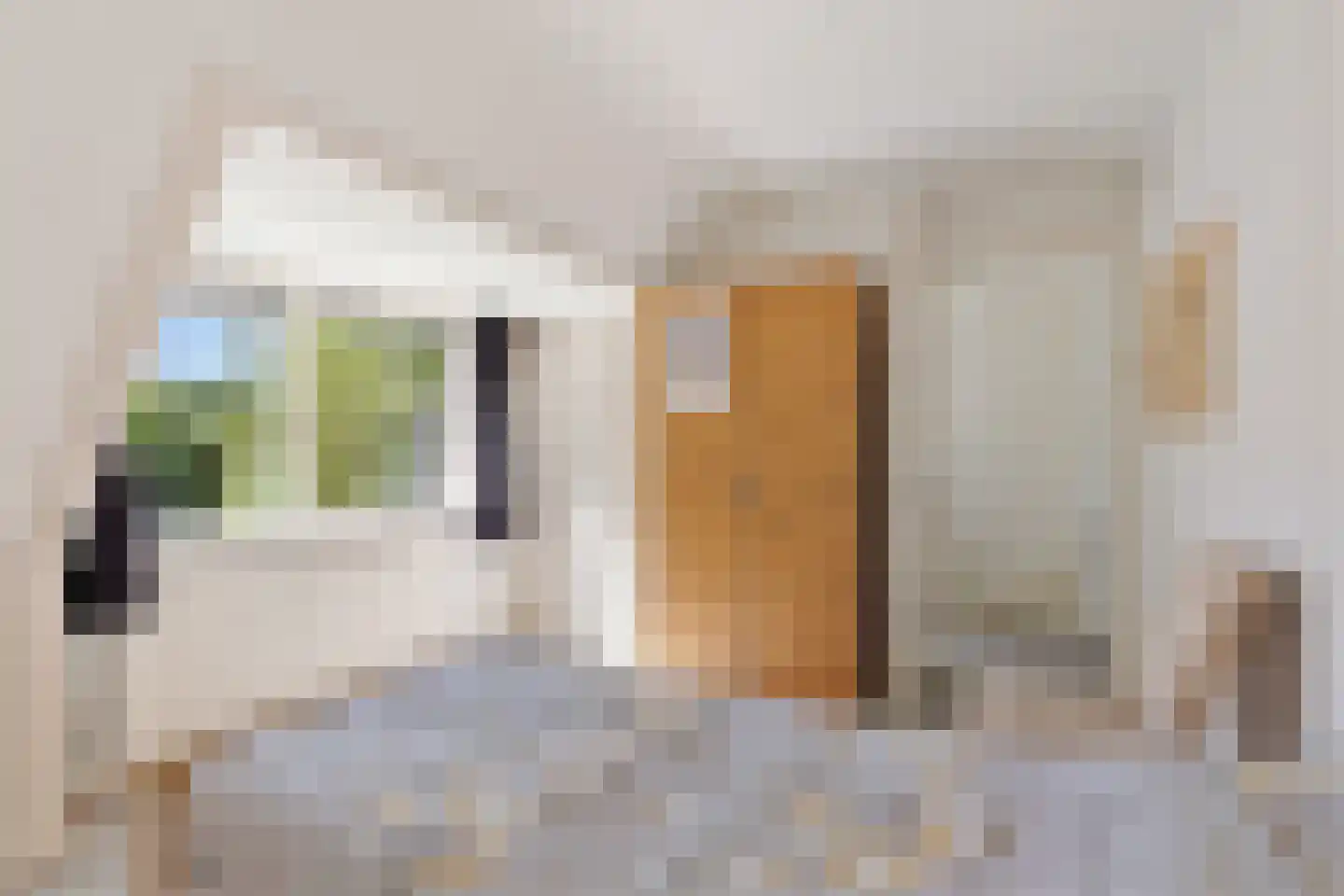Schapendrift 5 Zuidlaren thumbnail 26