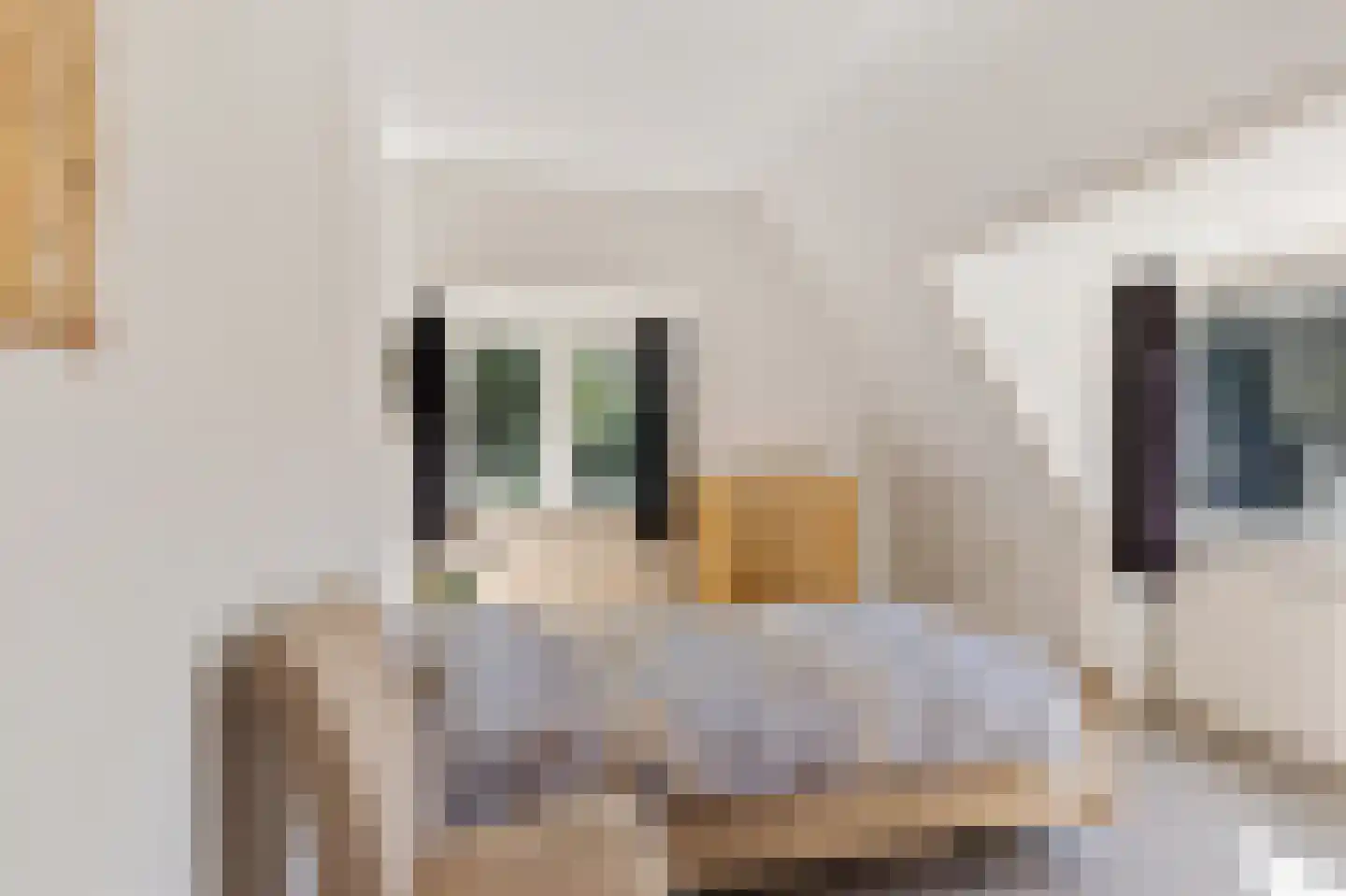Schapendrift 5 Zuidlaren thumbnail 27