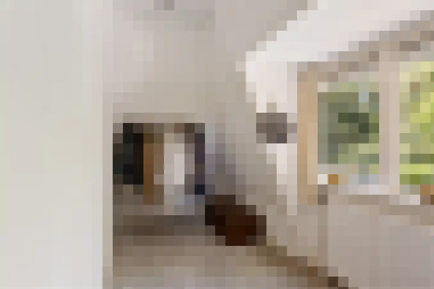 Schapendrift 5 Zuidlaren thumbnail 31