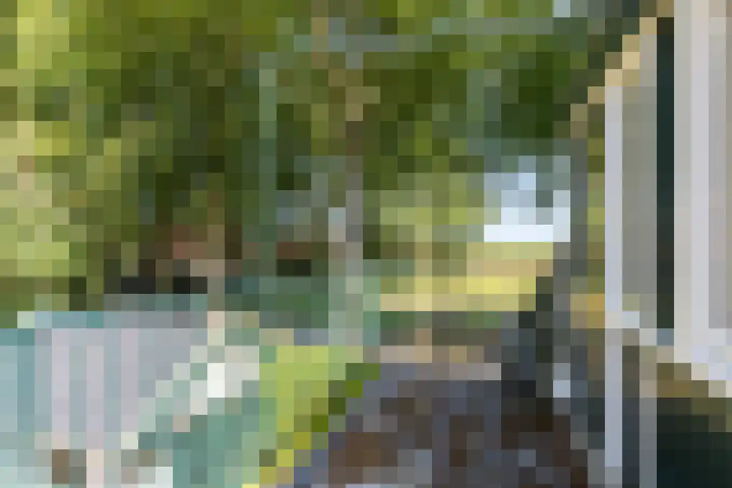 Schapendrift 5 Zuidlaren thumbnail 32