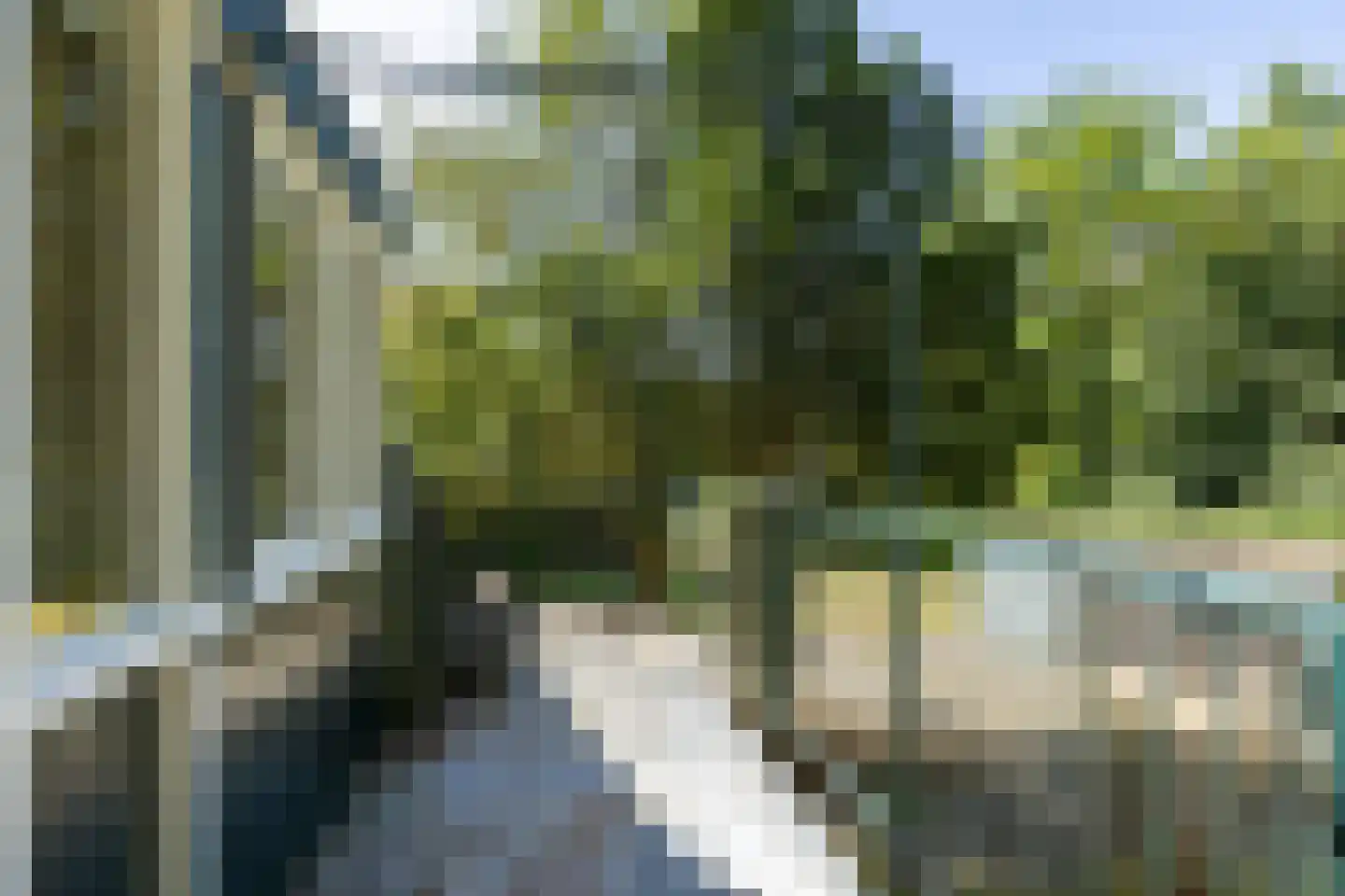 Schapendrift 5 Zuidlaren thumbnail 33