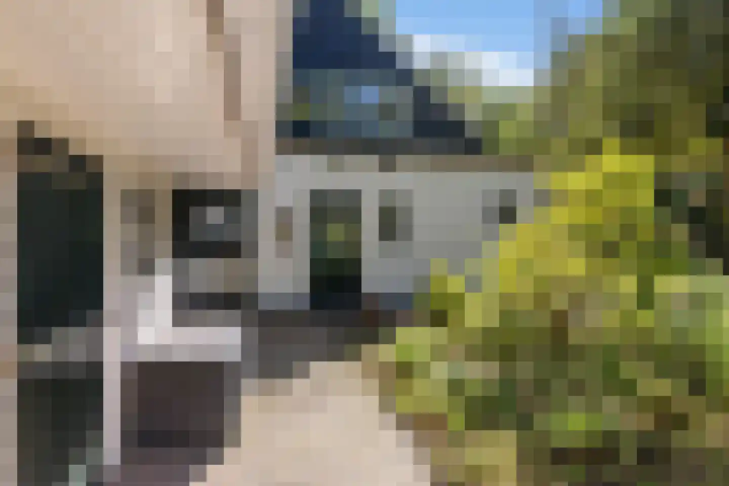 Schapendrift 5 Zuidlaren thumbnail 34