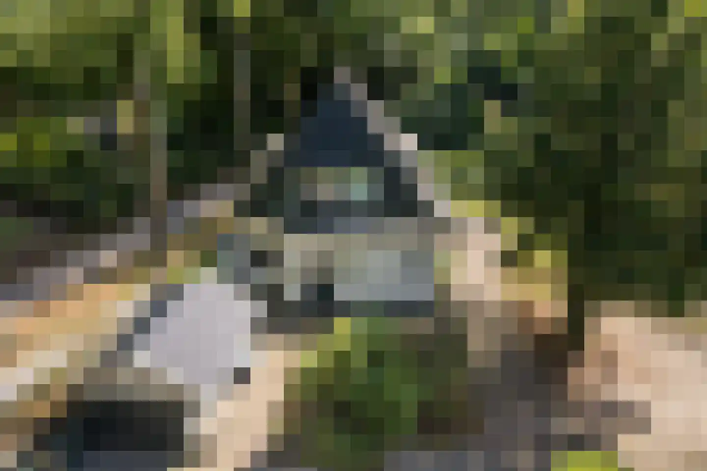 Schapendrift 5 Zuidlaren thumbnail 35