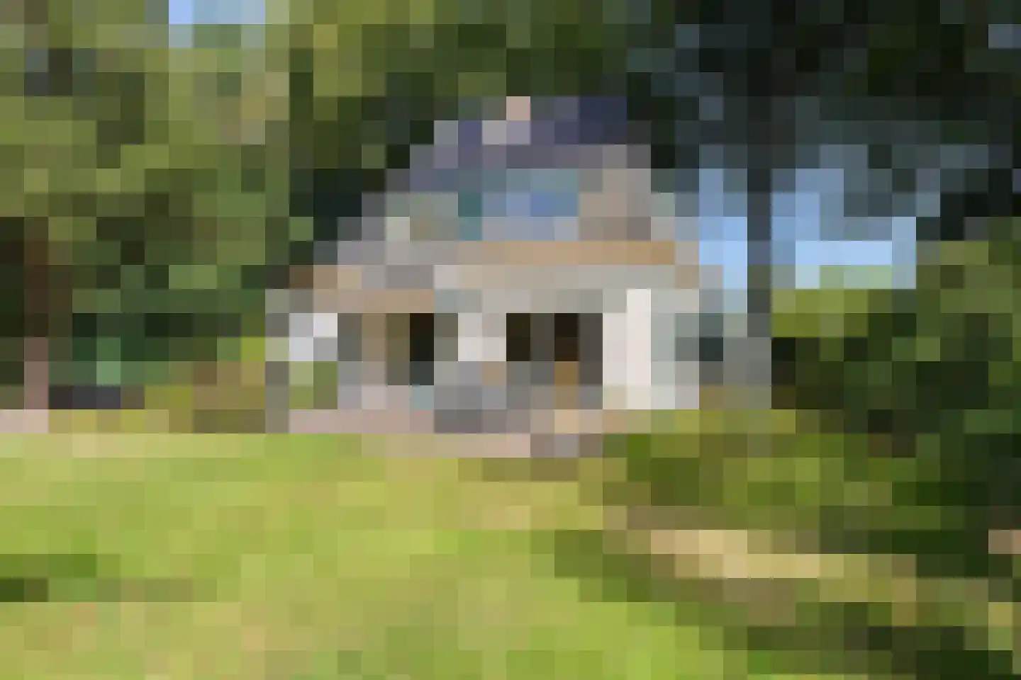 Schapendrift 5 Zuidlaren thumbnail 38