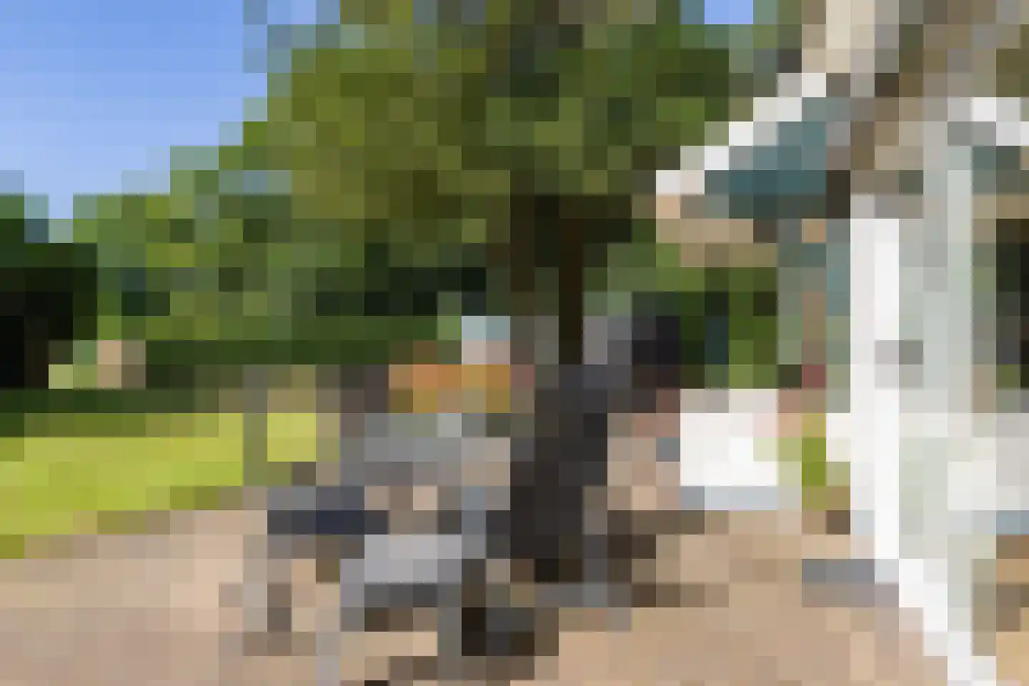 Schapendrift 5 Zuidlaren thumbnail 39