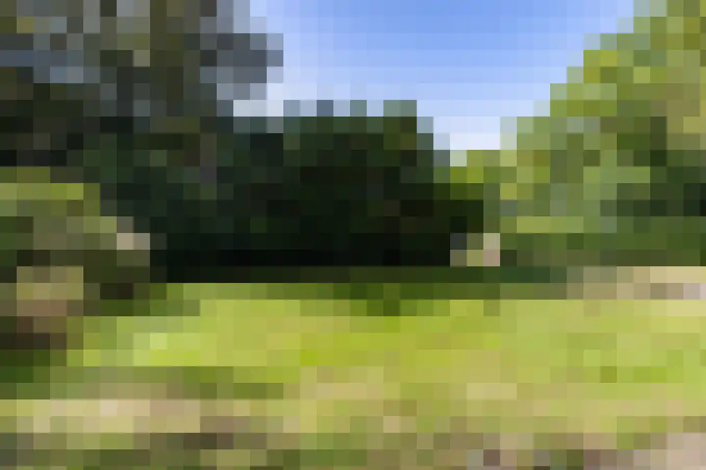 Schapendrift 5 Zuidlaren thumbnail 40