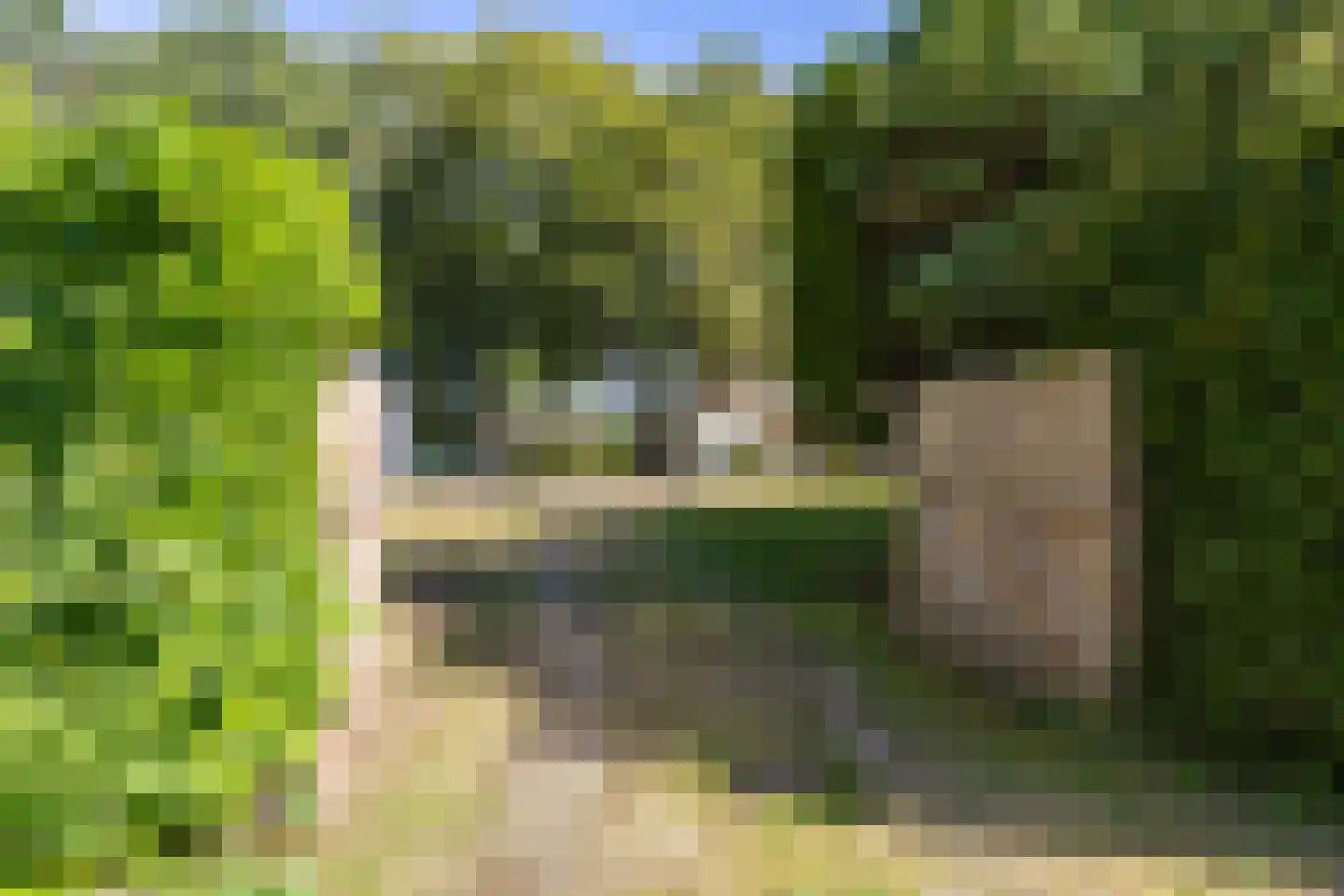 Schapendrift 5 Zuidlaren thumbnail 42