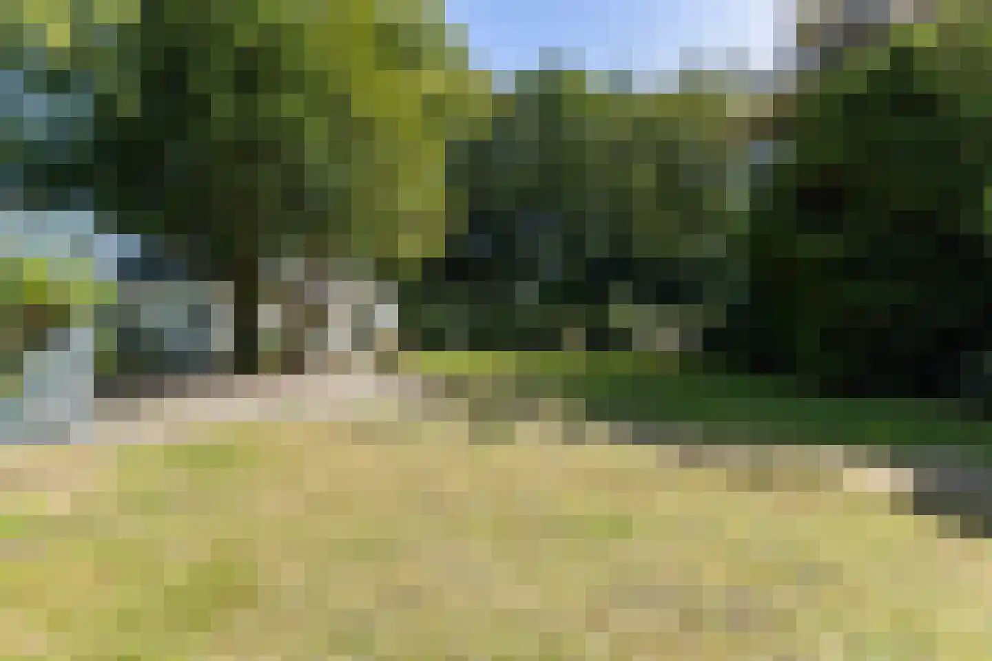 Schapendrift 5 Zuidlaren thumbnail 43