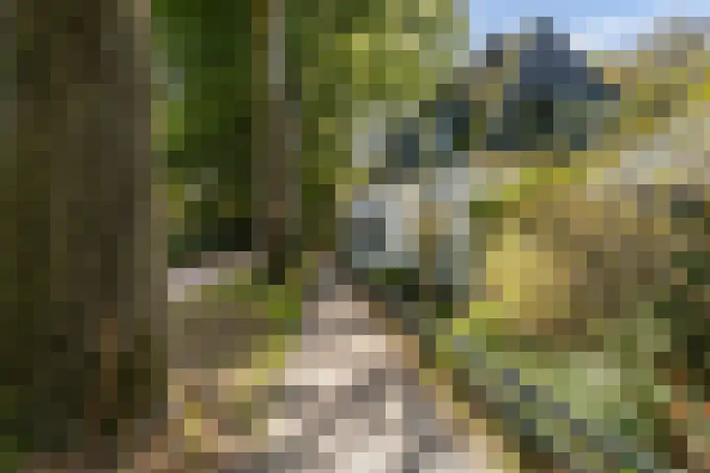 Schapendrift 5 Zuidlaren thumbnail 45