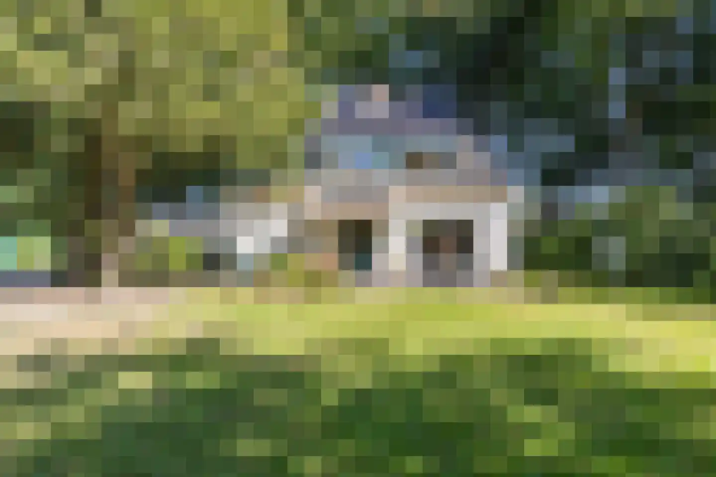 Schapendrift 5 Zuidlaren thumbnail 5