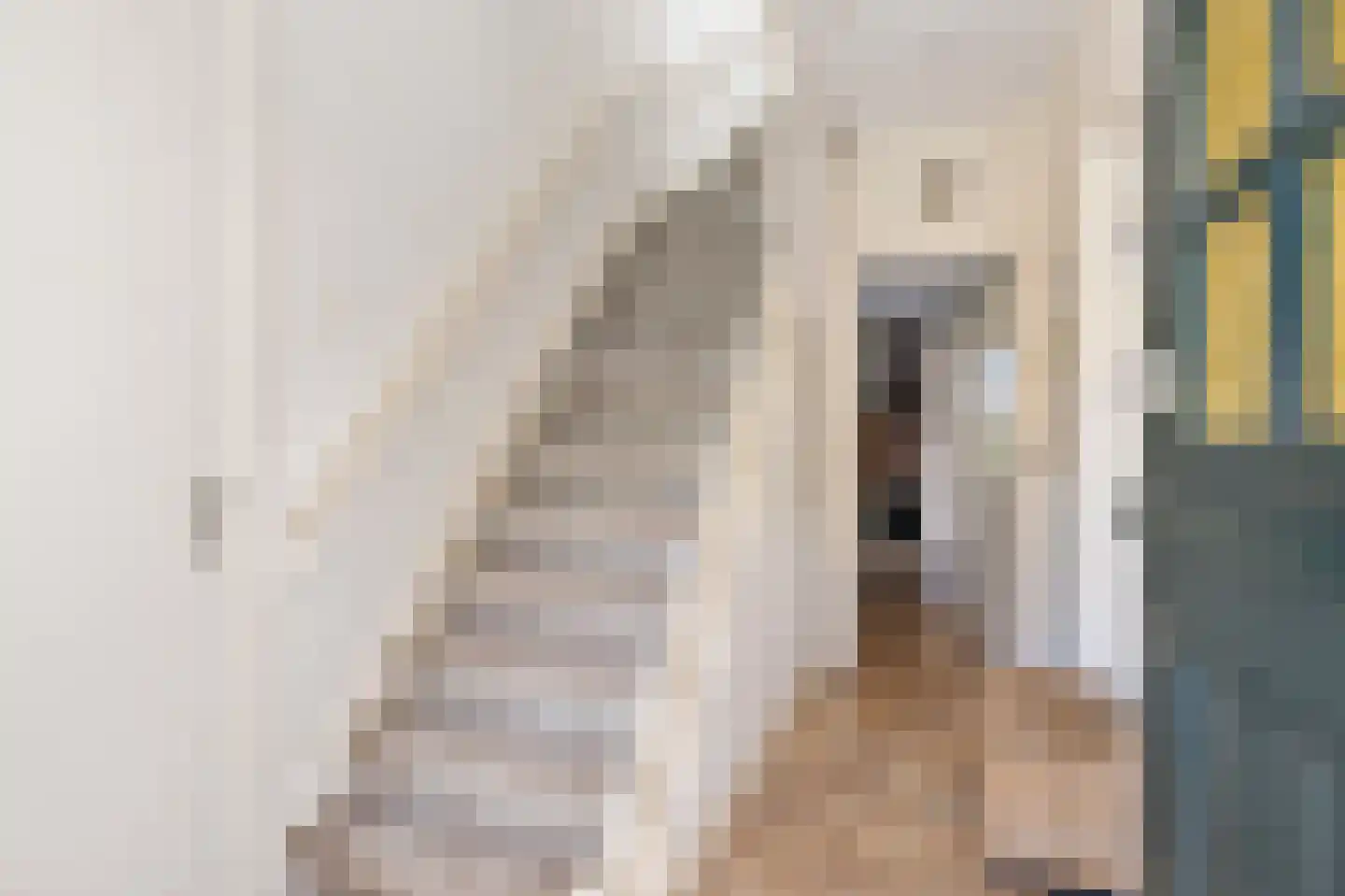 Schapendrift 5 Zuidlaren thumbnail 7