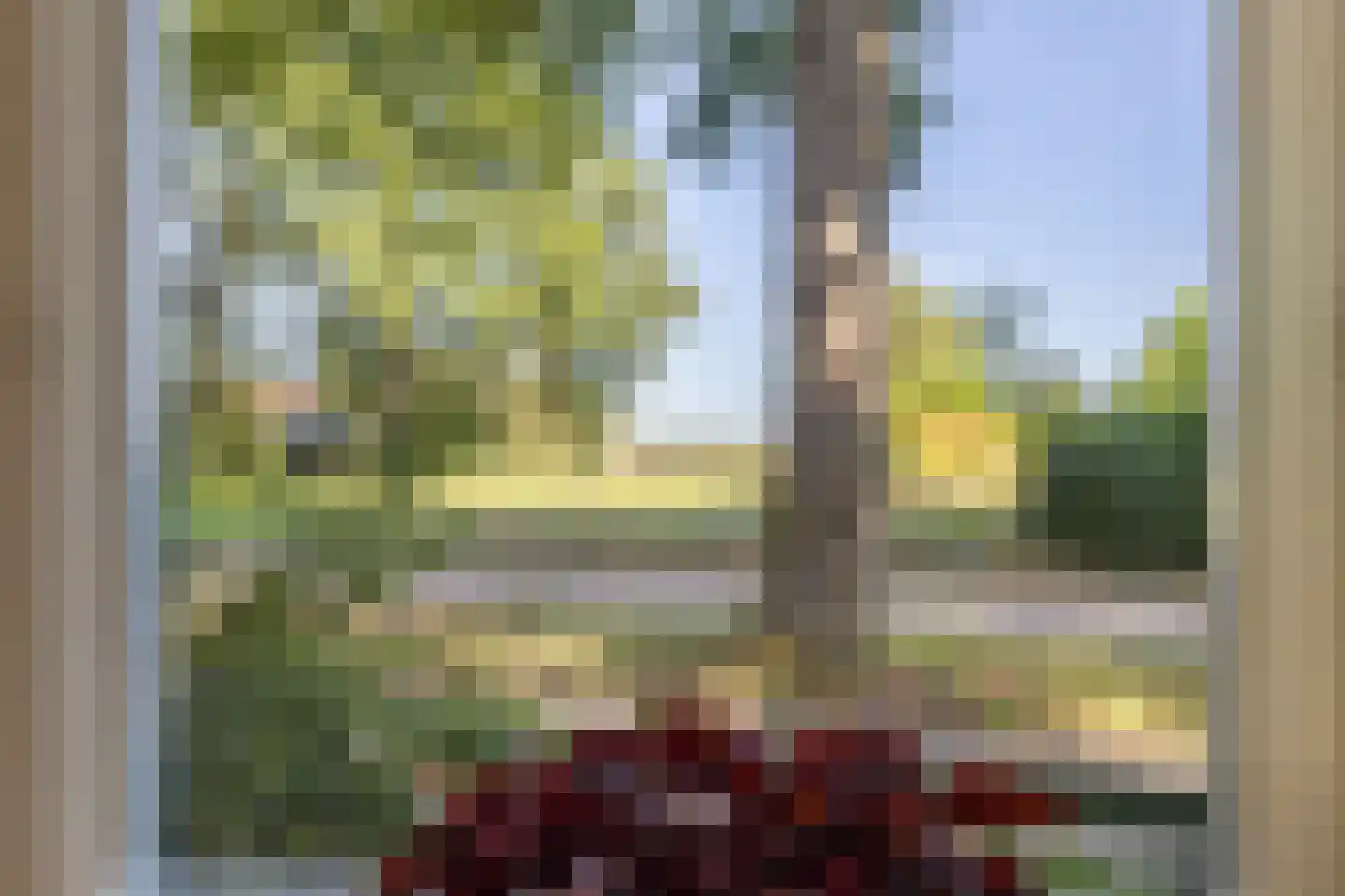 Schapendrift 5 Zuidlaren thumbnail 9