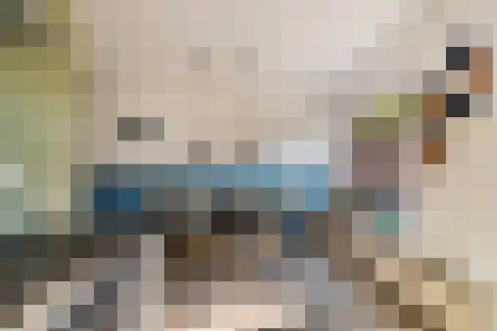 Schapendrift 50 Wezep thumbnail 12