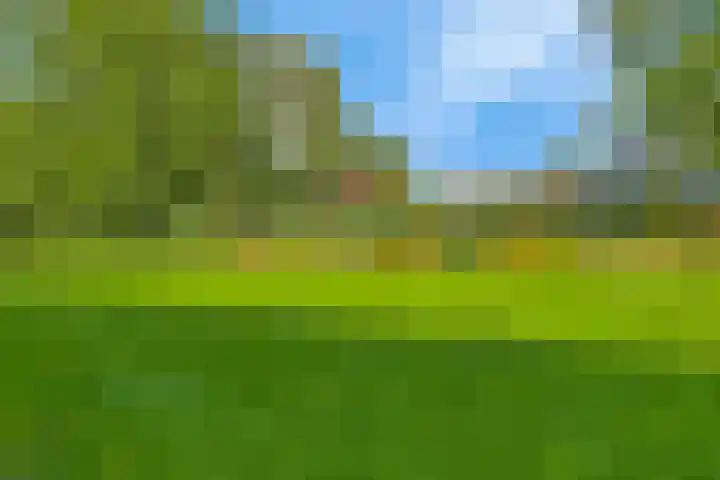 Schapendrift 50 Wezep thumbnail 30