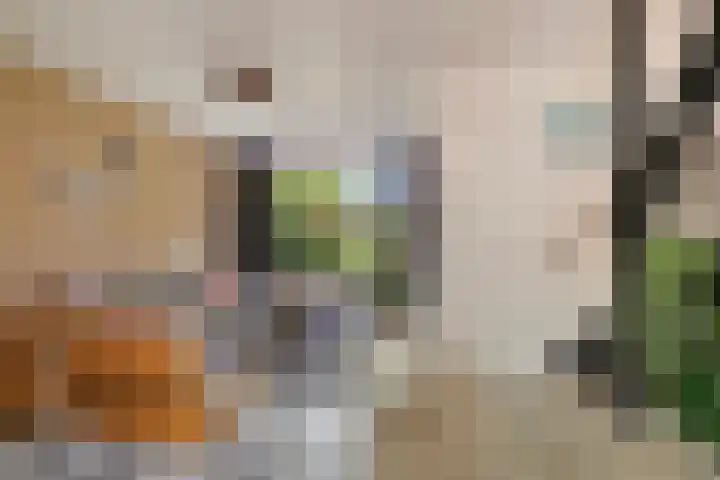 Schapendrift 50 Wezep thumbnail 7