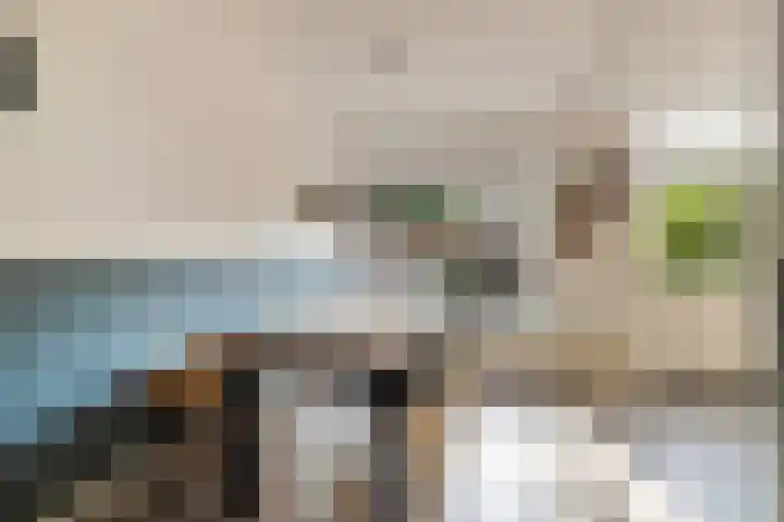 Schapendrift 50 Wezep thumbnail 9