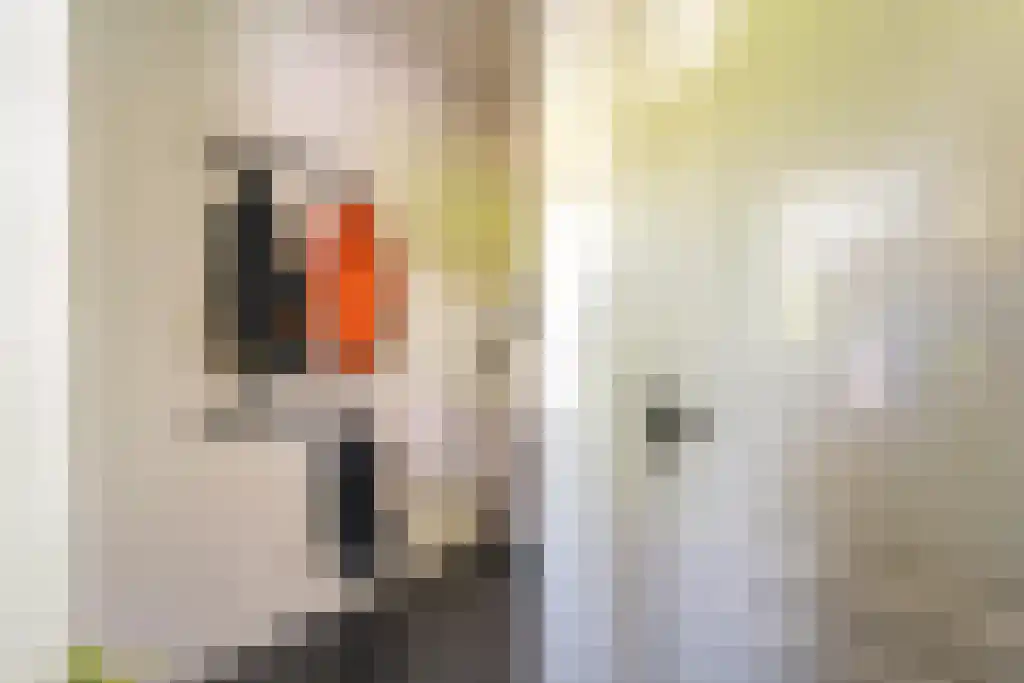 Schapendrift 7 Blaricum thumbnail 12