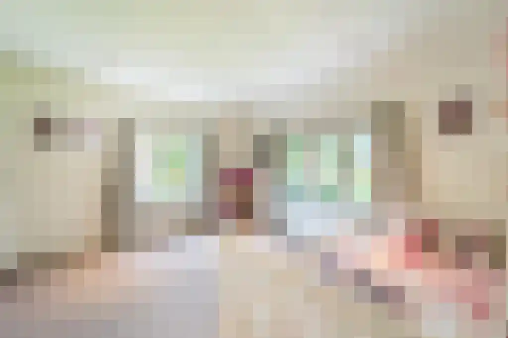 Schapendrift 7 Blaricum thumbnail 17
