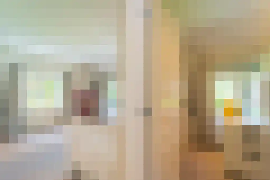 Schapendrift 7 Blaricum thumbnail 22