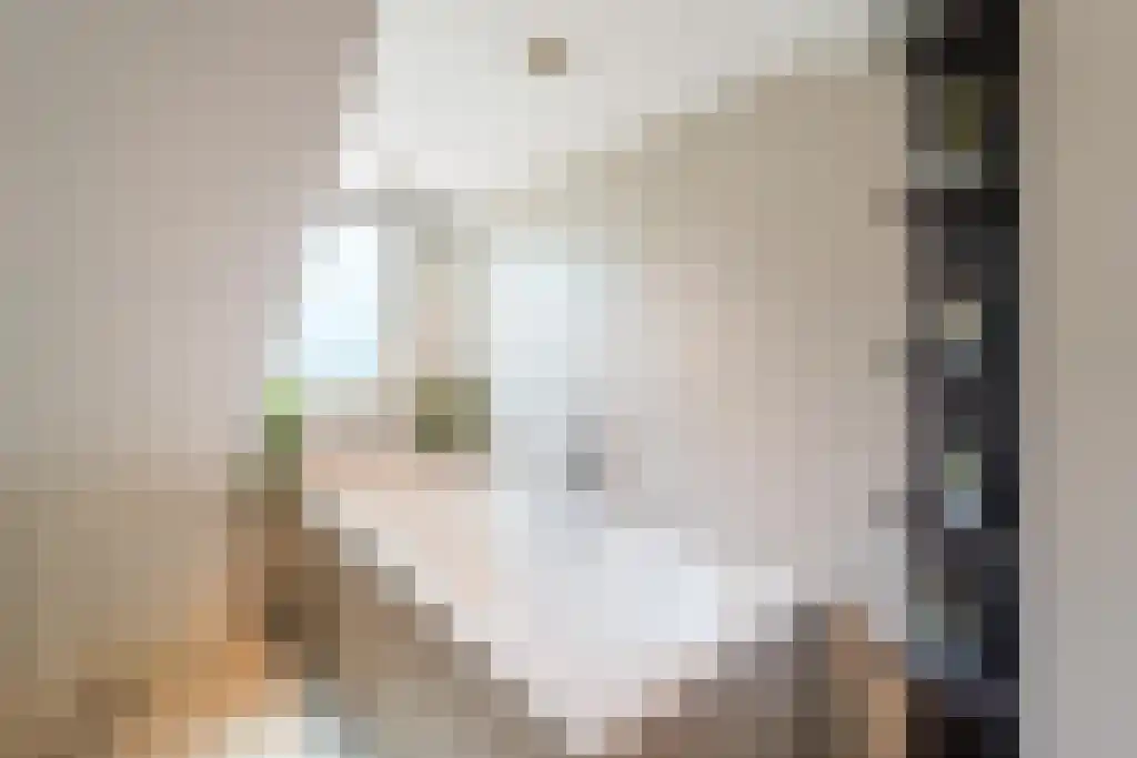 Schapendrift 7 Blaricum thumbnail 25