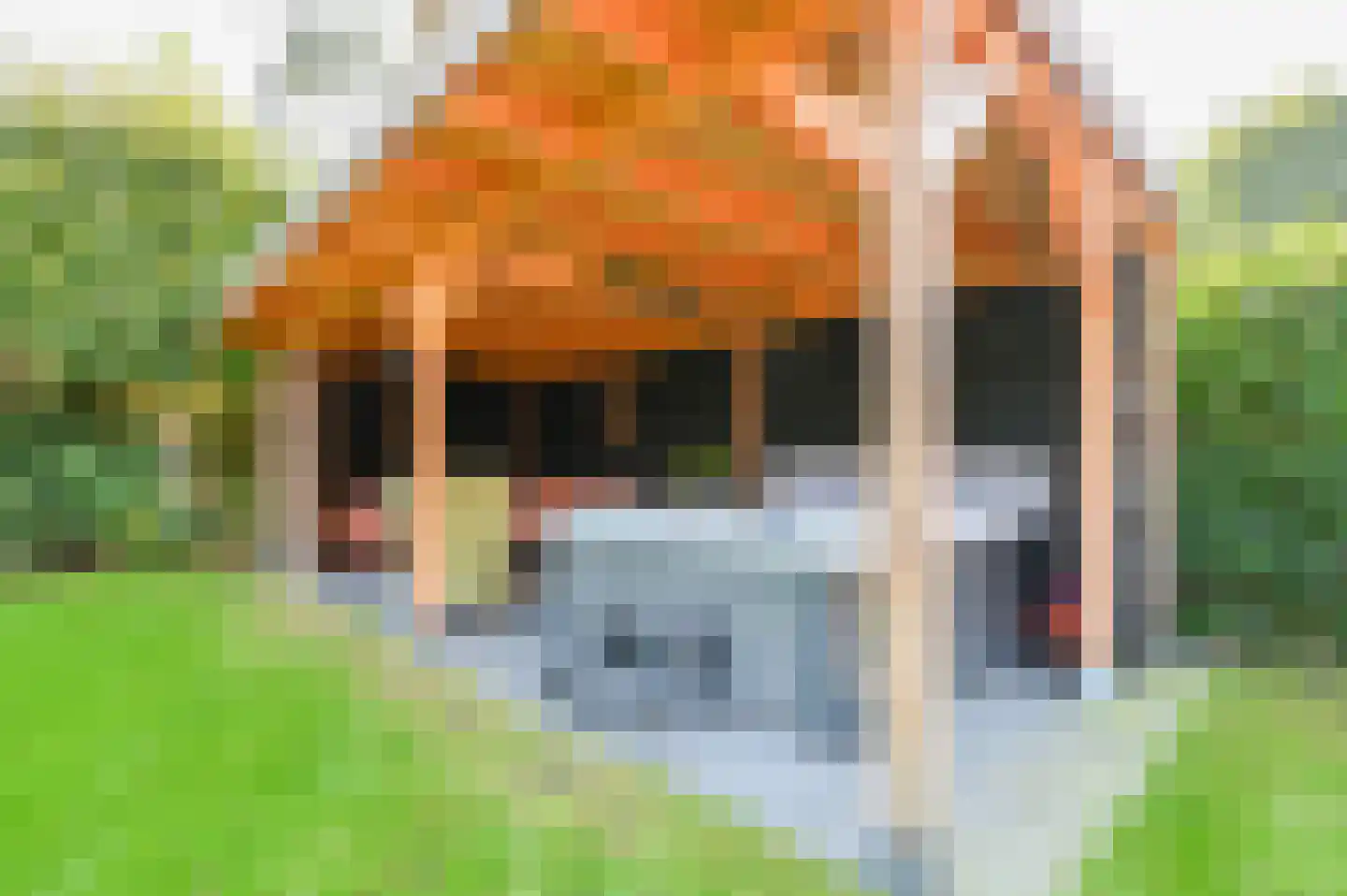 Schapendrift 7 Blaricum thumbnail 30