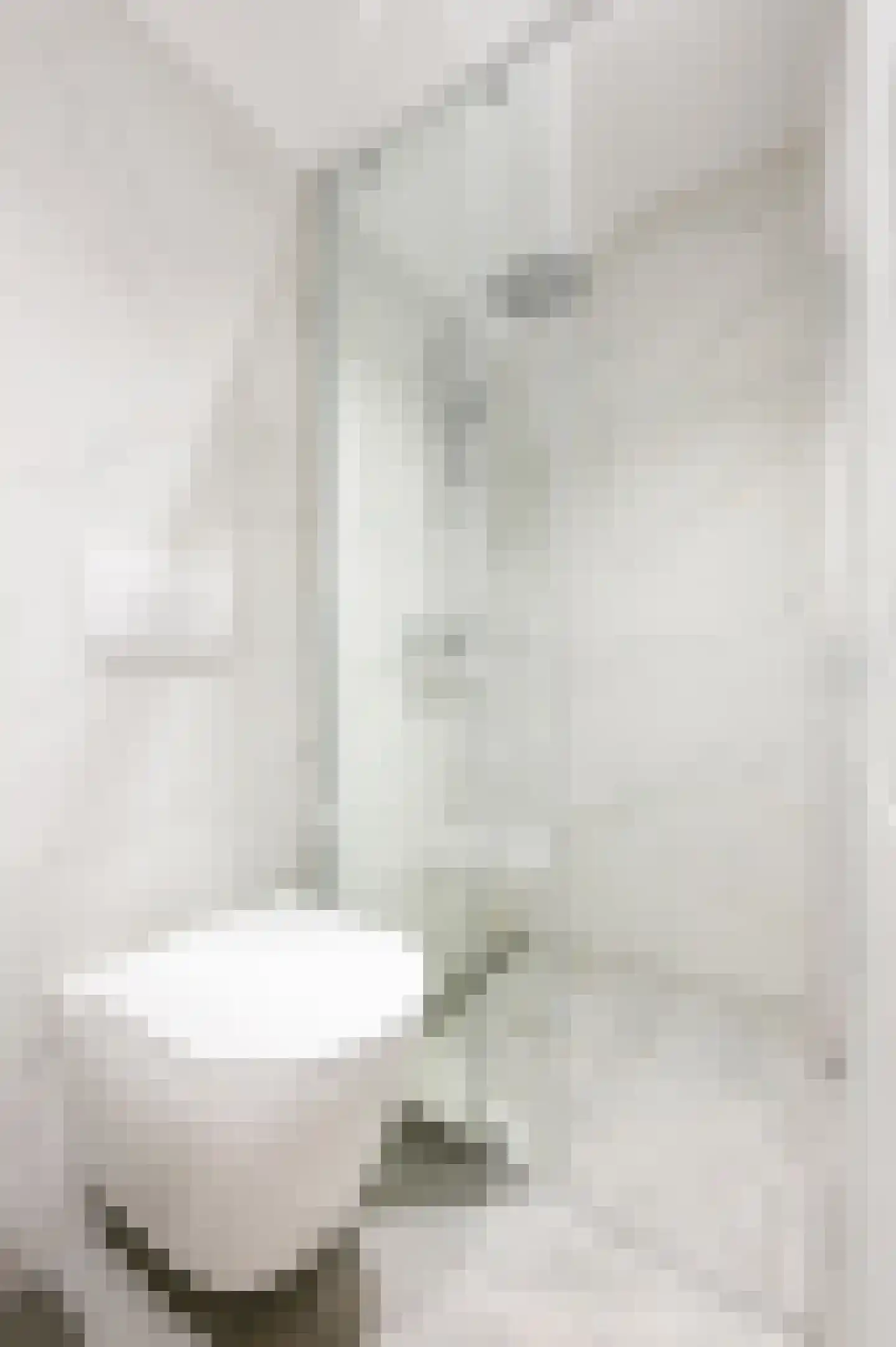 Schapendrift 7 Blaricum thumbnail 37