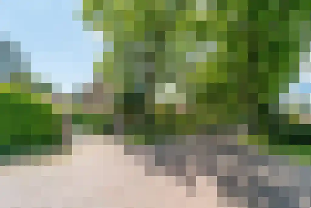 Schapendrift 7 Blaricum thumbnail 39