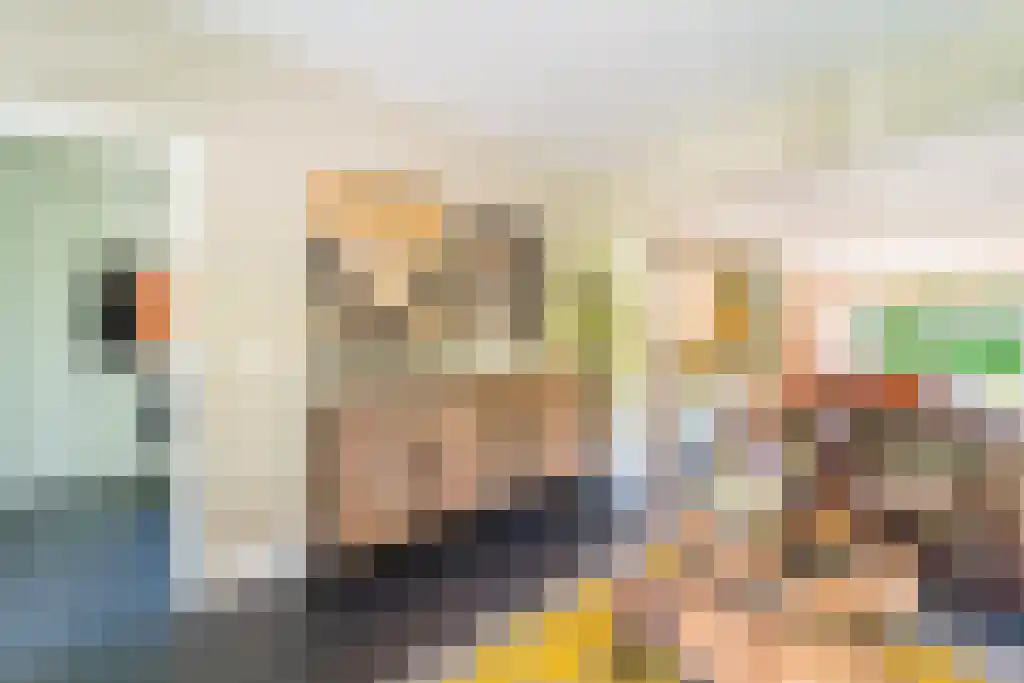 Schapendrift 7 Blaricum thumbnail 9
