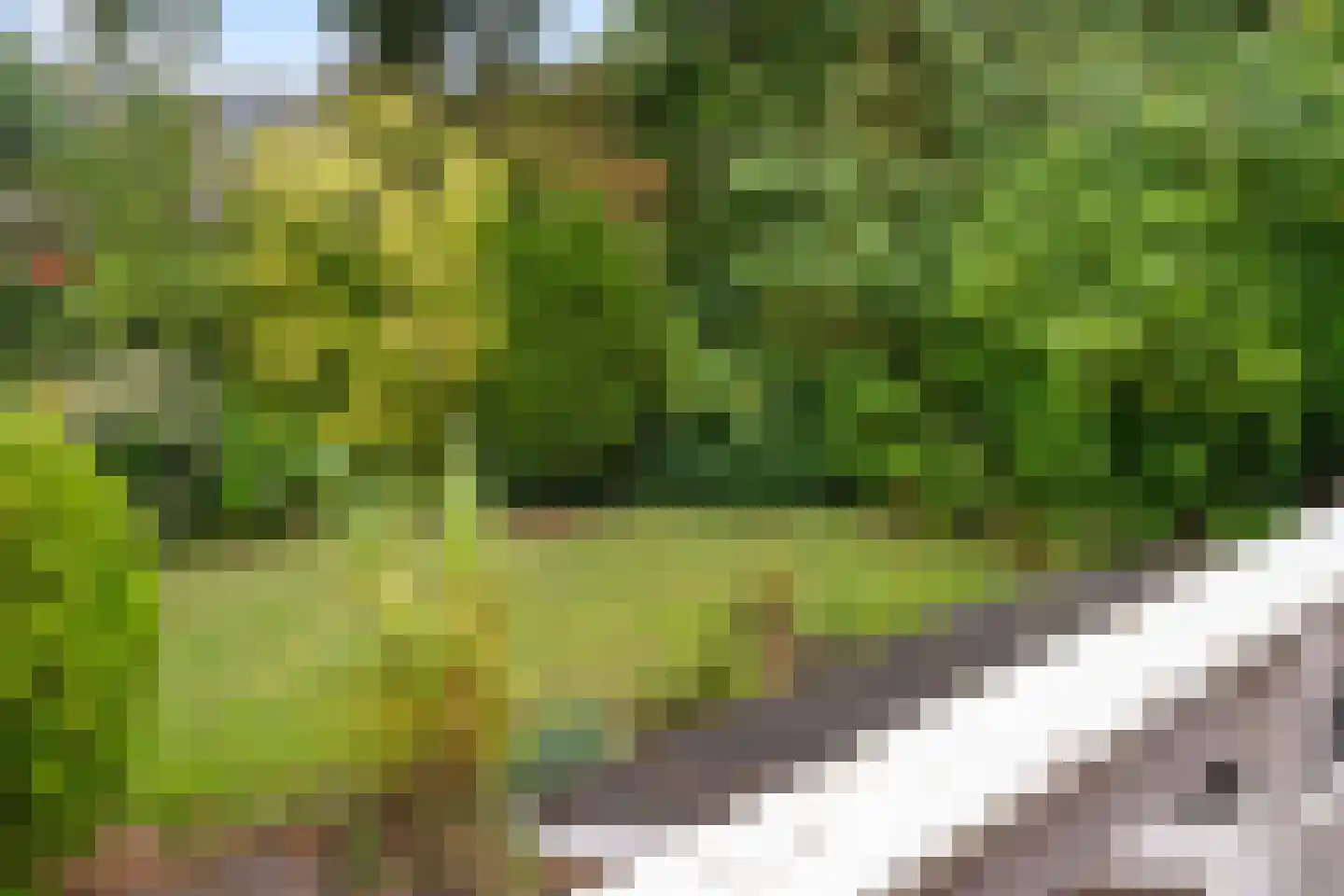 Schapendrift 73 Beilen thumbnail 20