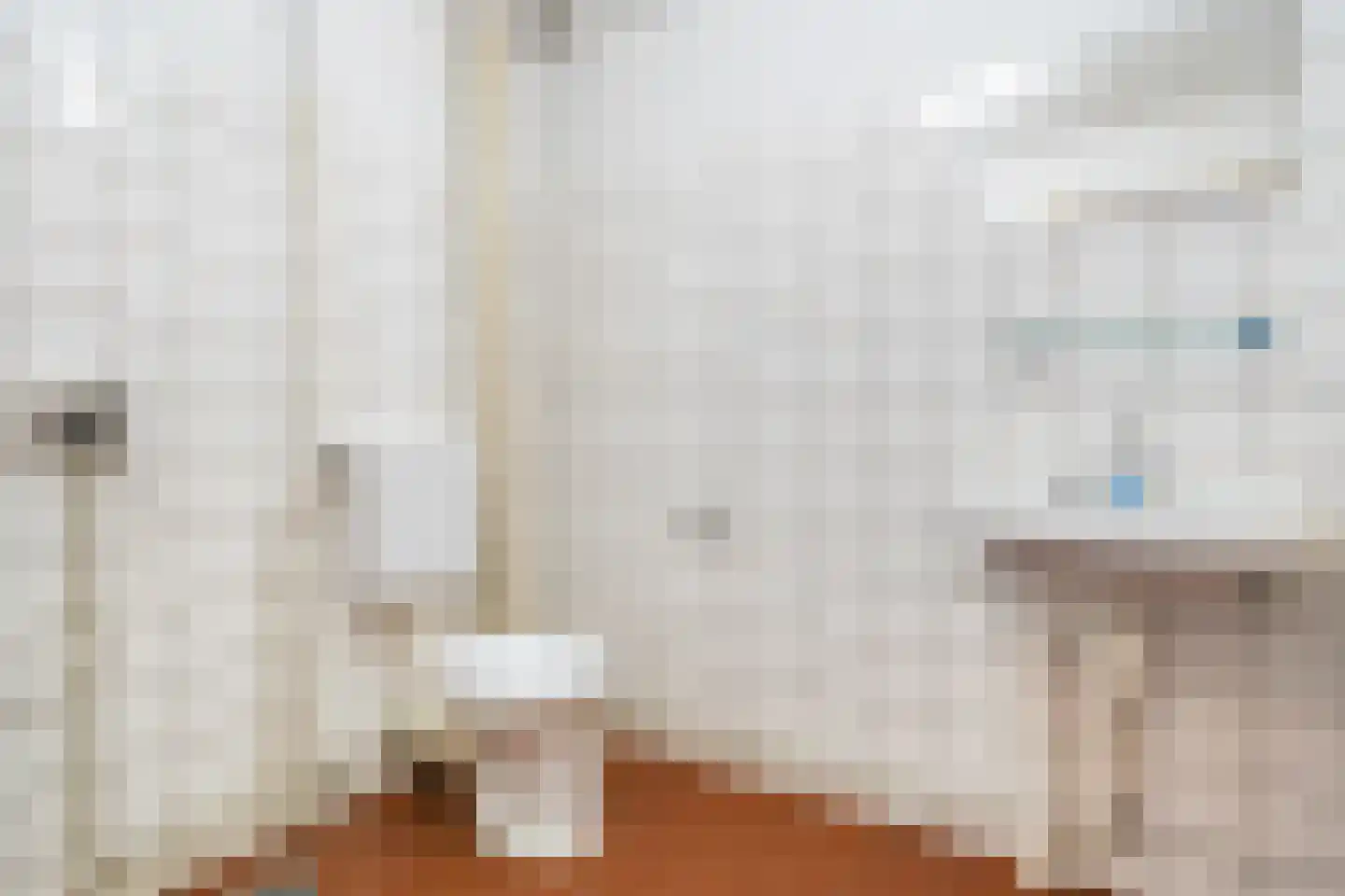 Schapendrift 73 Beilen thumbnail 26