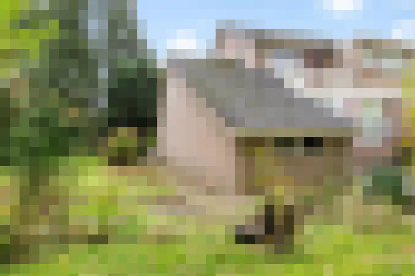 Schapendrift 73 Beilen thumbnail 30