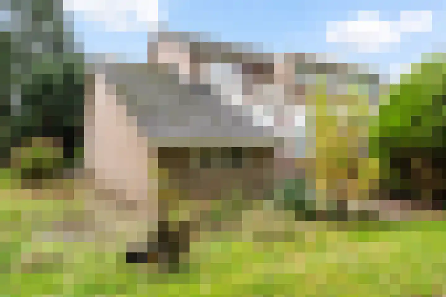 Schapendrift 73 Beilen thumbnail 31