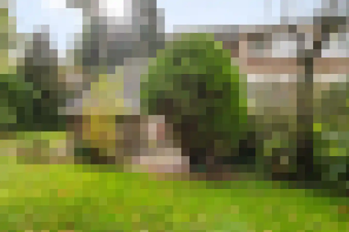 Schapendrift 73 Beilen thumbnail 32