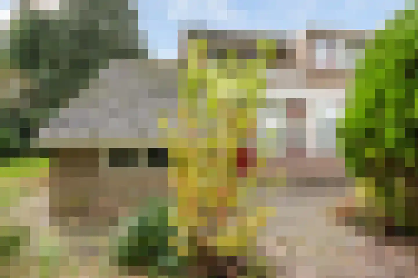 Schapendrift 73 Beilen thumbnail 33