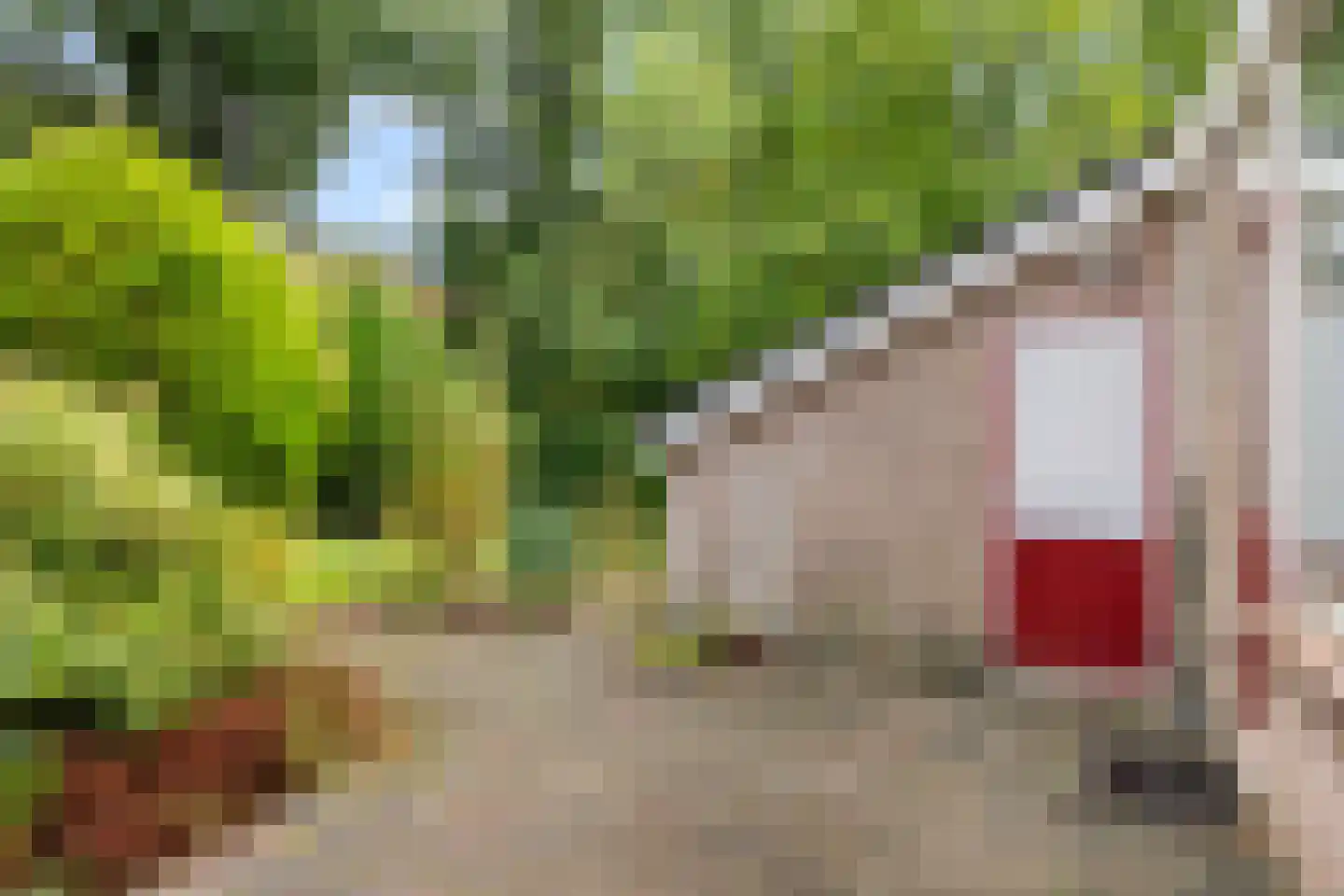 Schapendrift 73 Beilen thumbnail 34