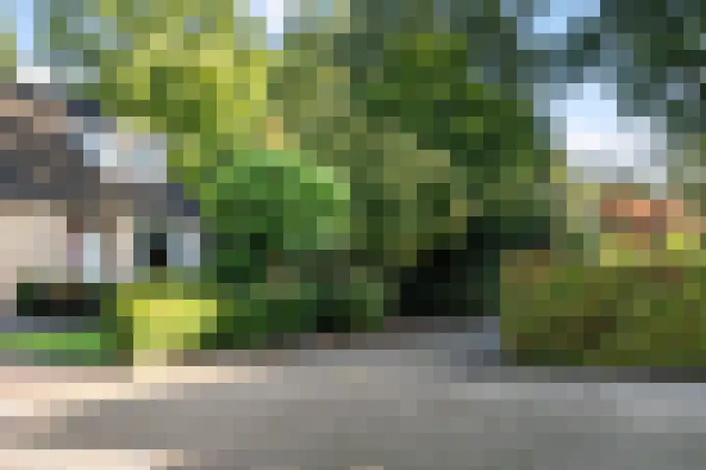 Schapendrift 73 Beilen thumbnail 36