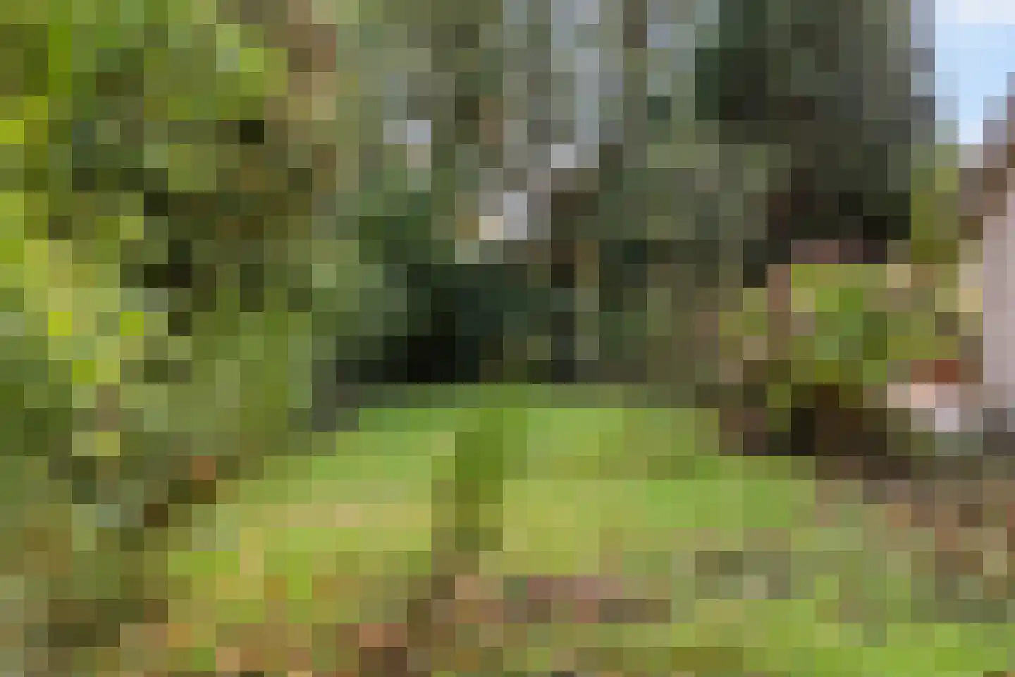 Schapendrift 73 Beilen thumbnail 4